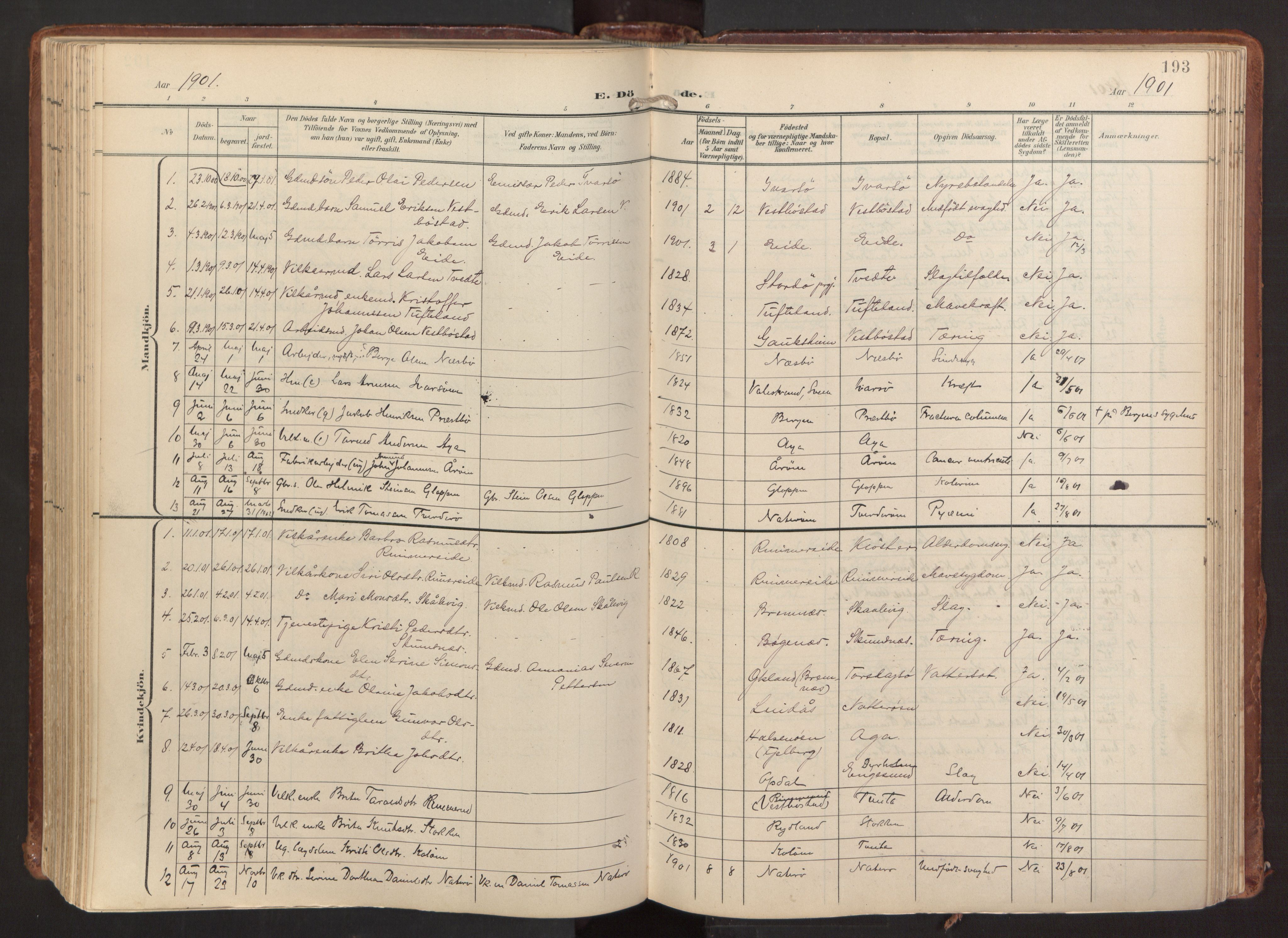 Fitjar sokneprestembete, AV/SAB-A-99926: Parish register (official) no. A 3, 1900-1918, p. 193