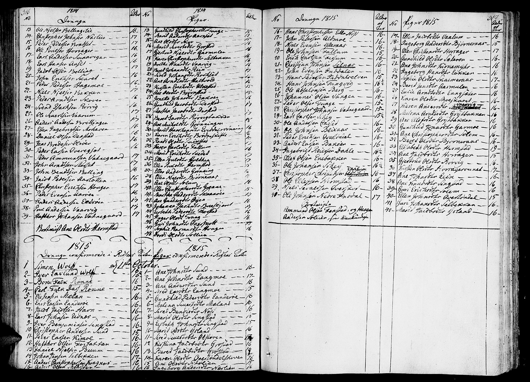 Ministerialprotokoller, klokkerbøker og fødselsregistre - Sør-Trøndelag, SAT/A-1456/646/L0607: Parish register (official) no. 646A05, 1806-1815, p. 316-317
