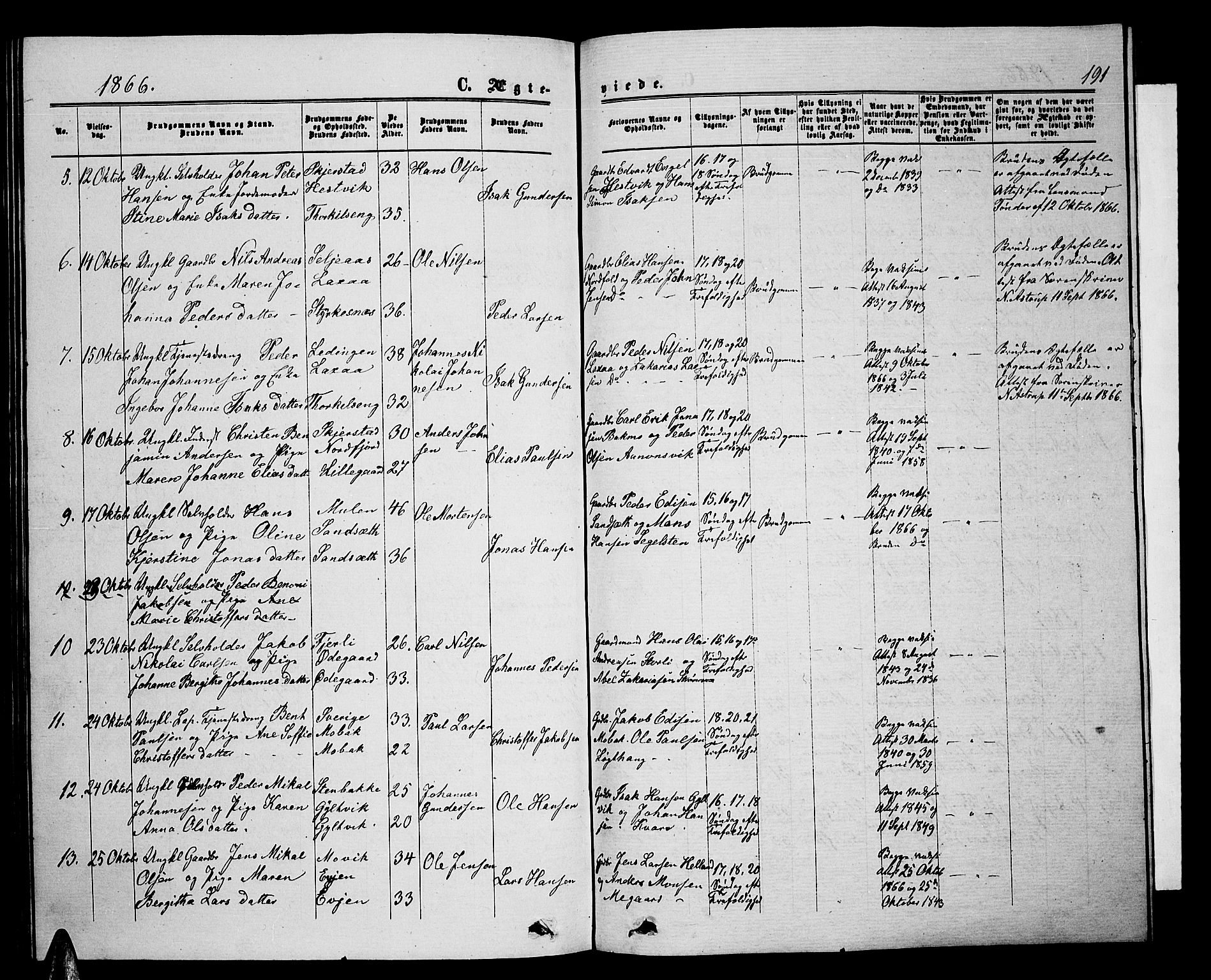 Ministerialprotokoller, klokkerbøker og fødselsregistre - Nordland, AV/SAT-A-1459/853/L0775: Parish register (copy) no. 853C03, 1859-1877, p. 191