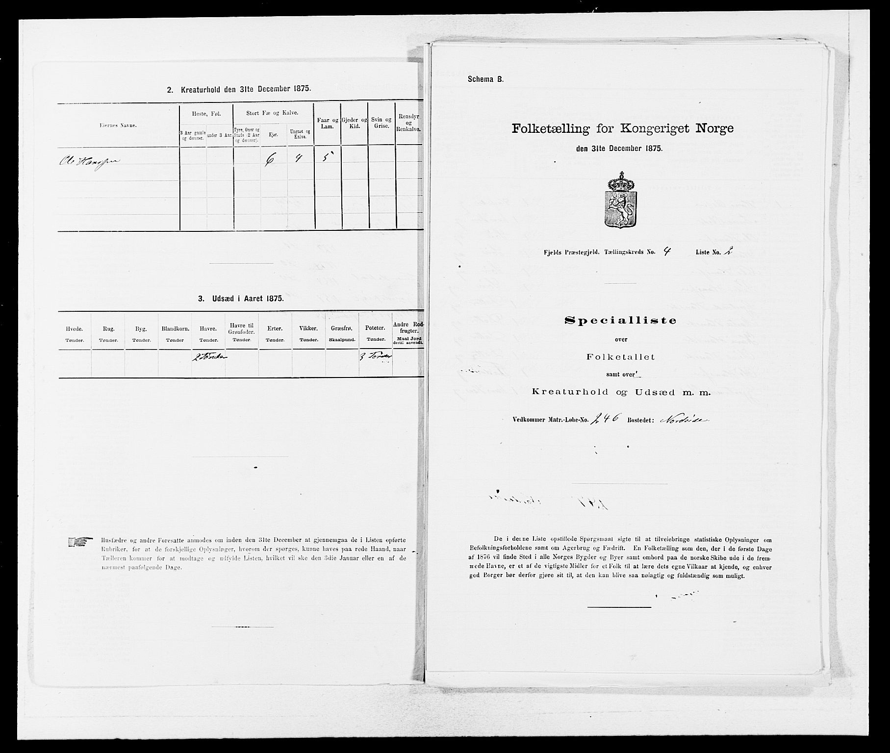 SAB, 1875 census for 1246P Fjell, 1875, p. 428