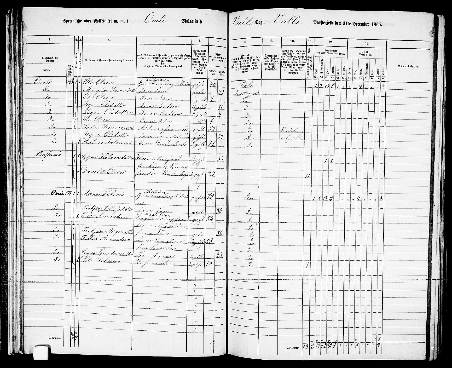 RA, 1865 census for Valle, 1865, p. 33