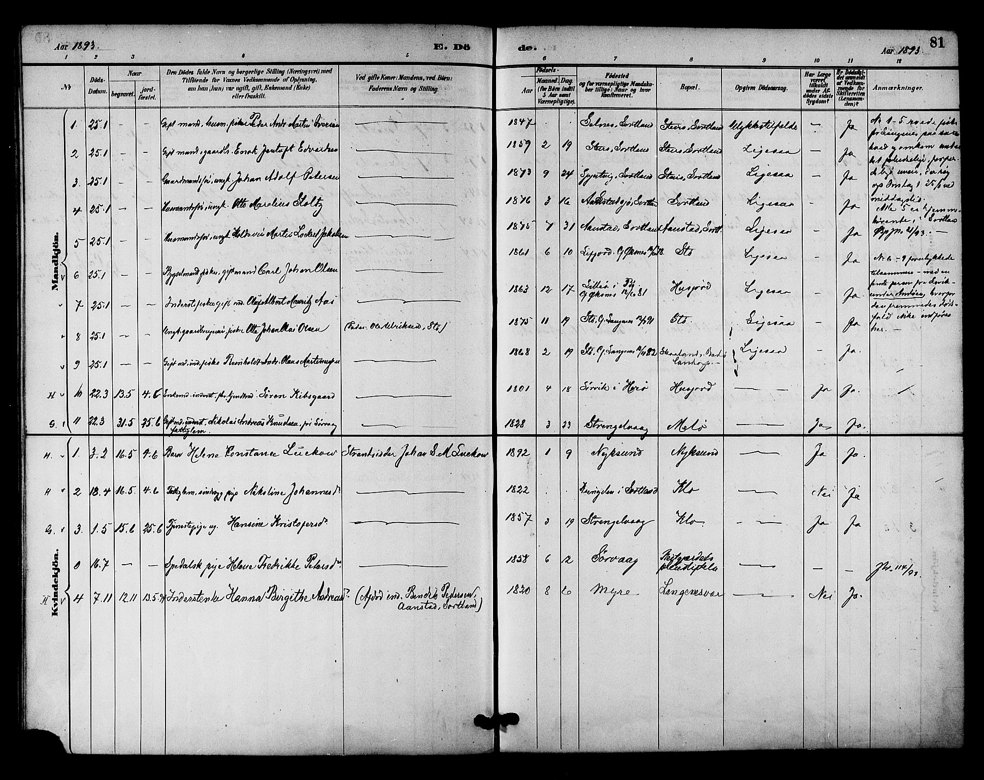 Ministerialprotokoller, klokkerbøker og fødselsregistre - Nordland, AV/SAT-A-1459/894/L1355: Parish register (official) no. 894A01, 1885-1896, p. 81