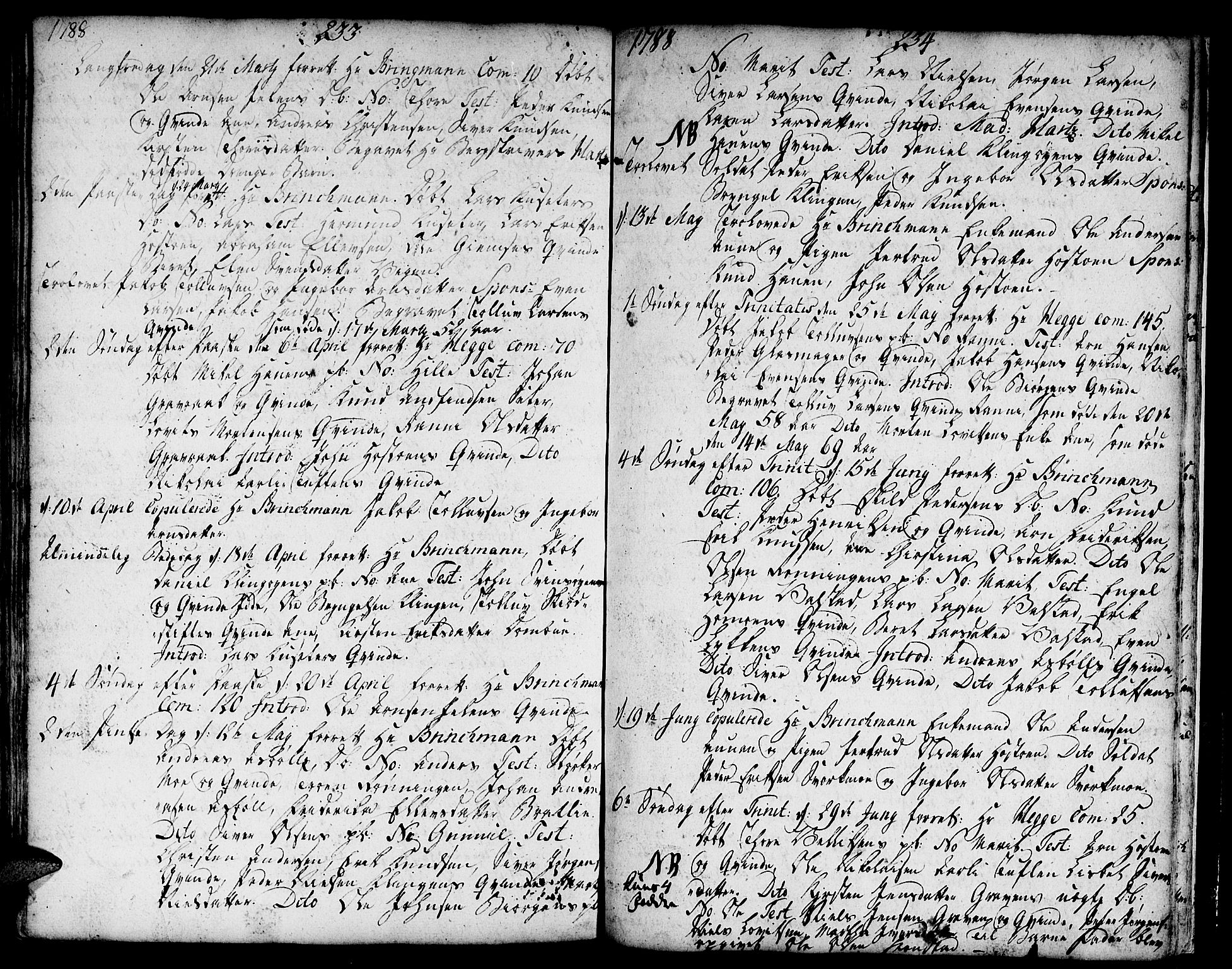 Ministerialprotokoller, klokkerbøker og fødselsregistre - Sør-Trøndelag, SAT/A-1456/671/L0840: Parish register (official) no. 671A02, 1756-1794, p. 333-334