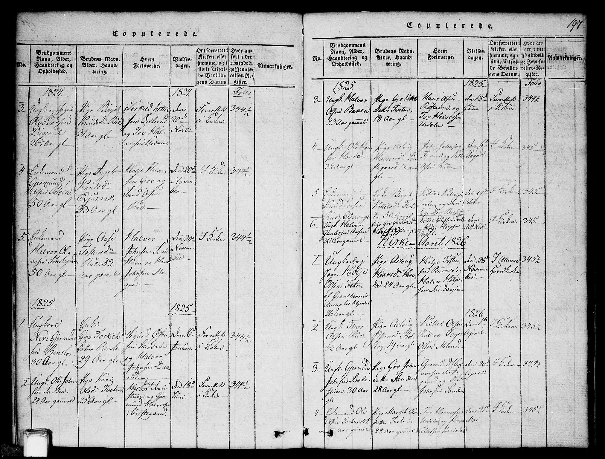 Gransherad kirkebøker, SAKO/A-267/G/Gb/L0001: Parish register (copy) no. II 1, 1815-1860, p. 197