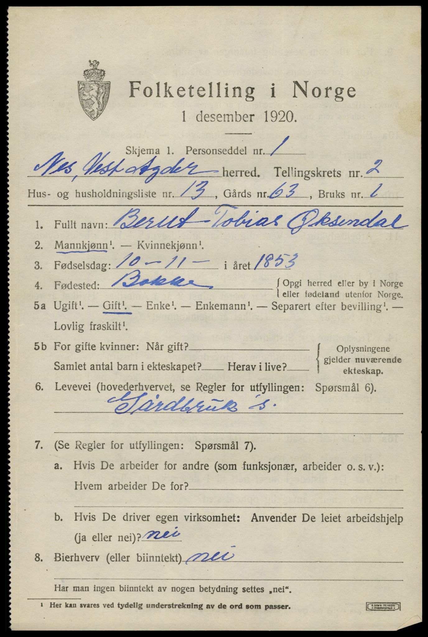 SAK, 1920 census for Nes (V-A), 1920, p. 1524