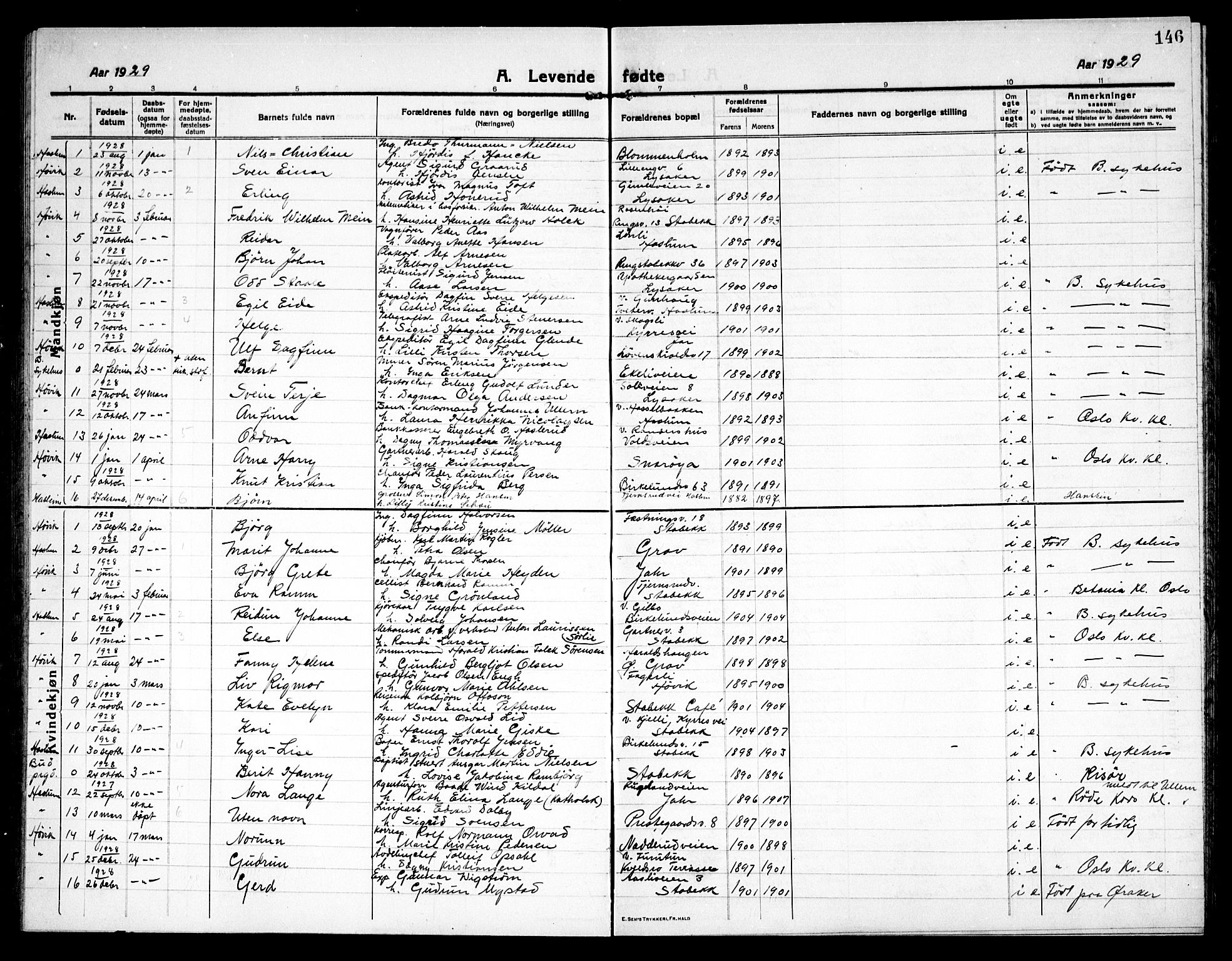 Østre Bærum prestekontor Kirkebøker, AV/SAO-A-10887/G/Ga/L0002: Parish register (copy) no. 2, 1912-1929, p. 146