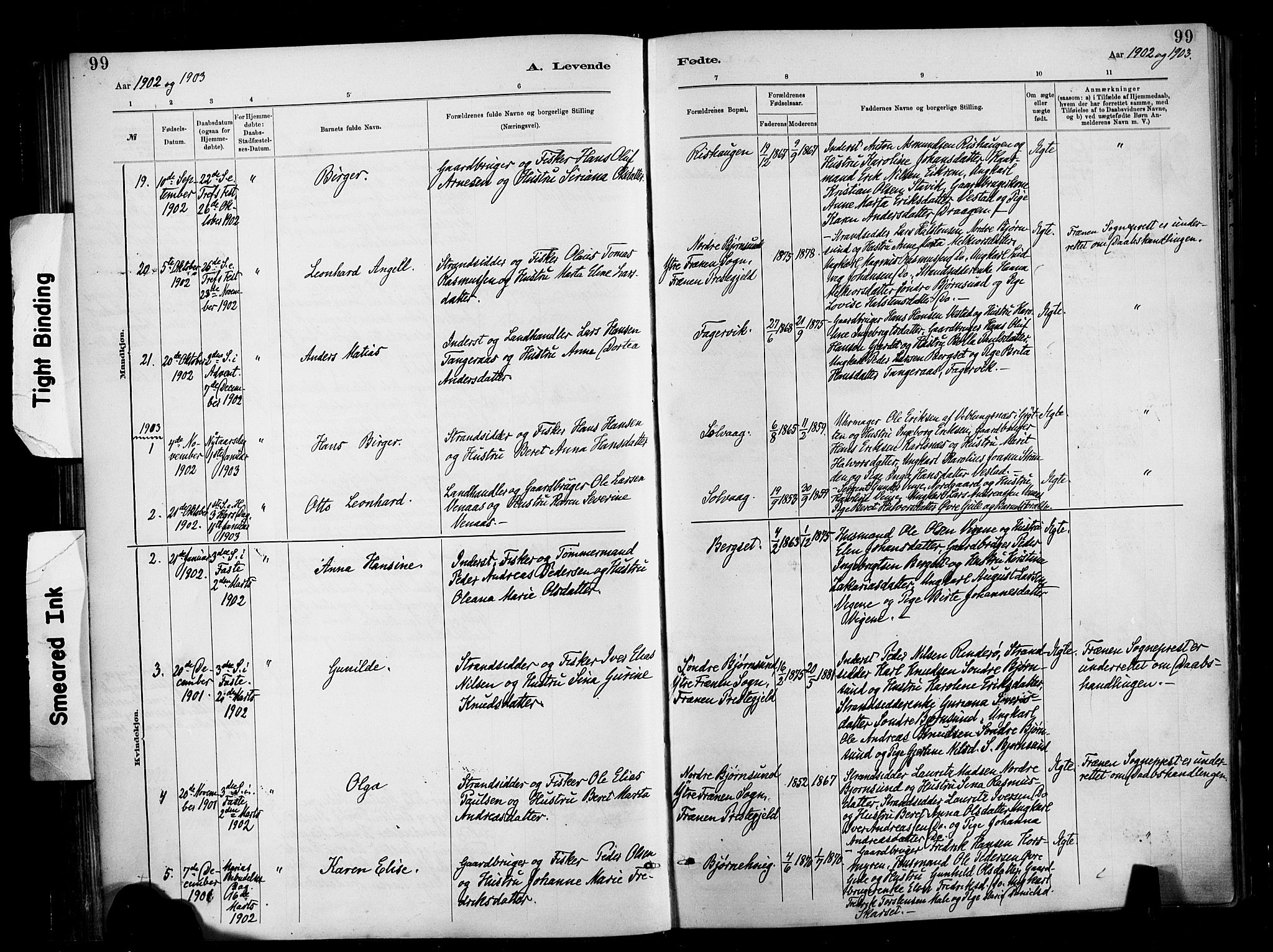 Ministerialprotokoller, klokkerbøker og fødselsregistre - Møre og Romsdal, SAT/A-1454/566/L0769: Parish register (official) no. 566A08, 1881-1903, p. 99