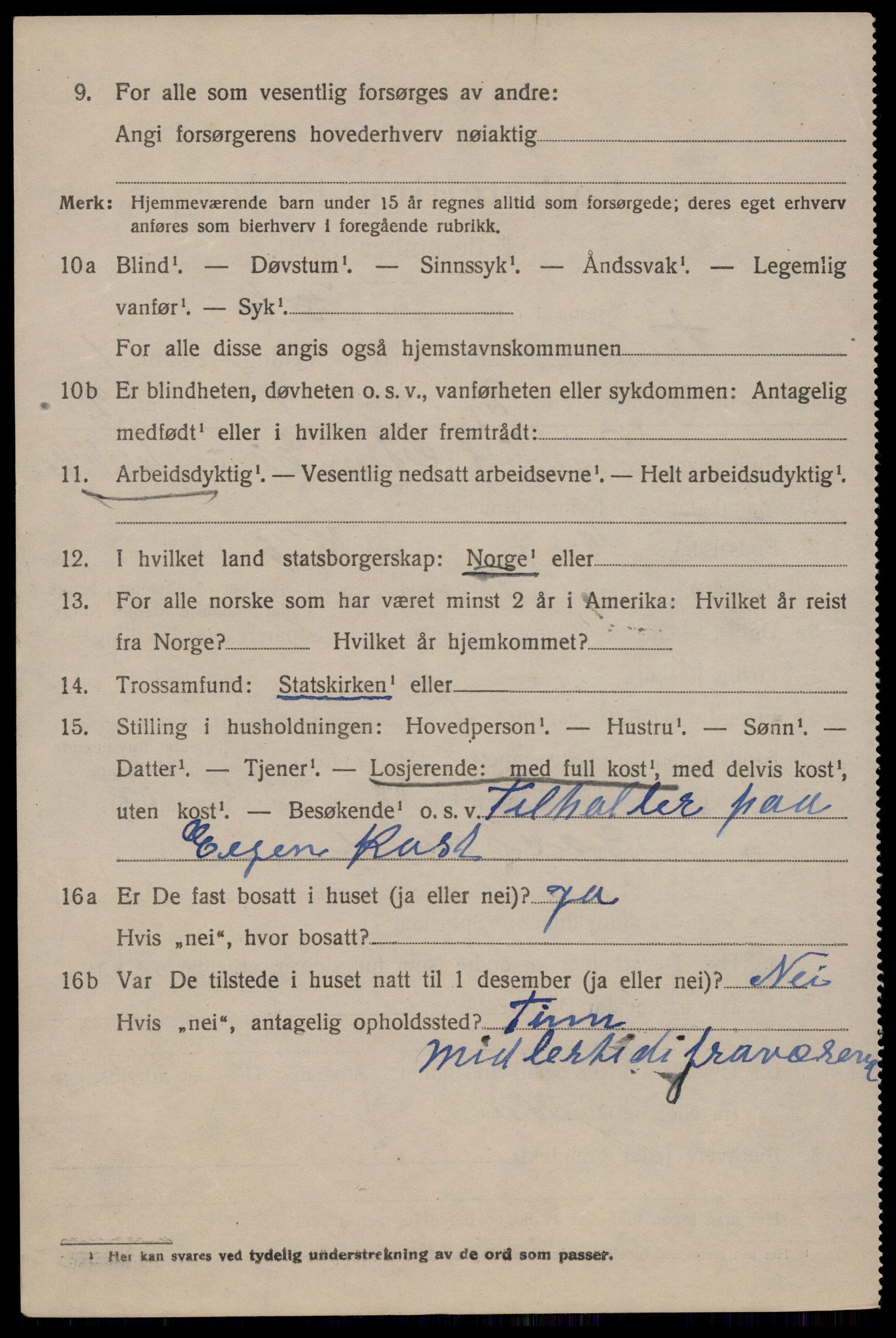 SAKO, 1920 census for Tinn, 1920, p. 3033