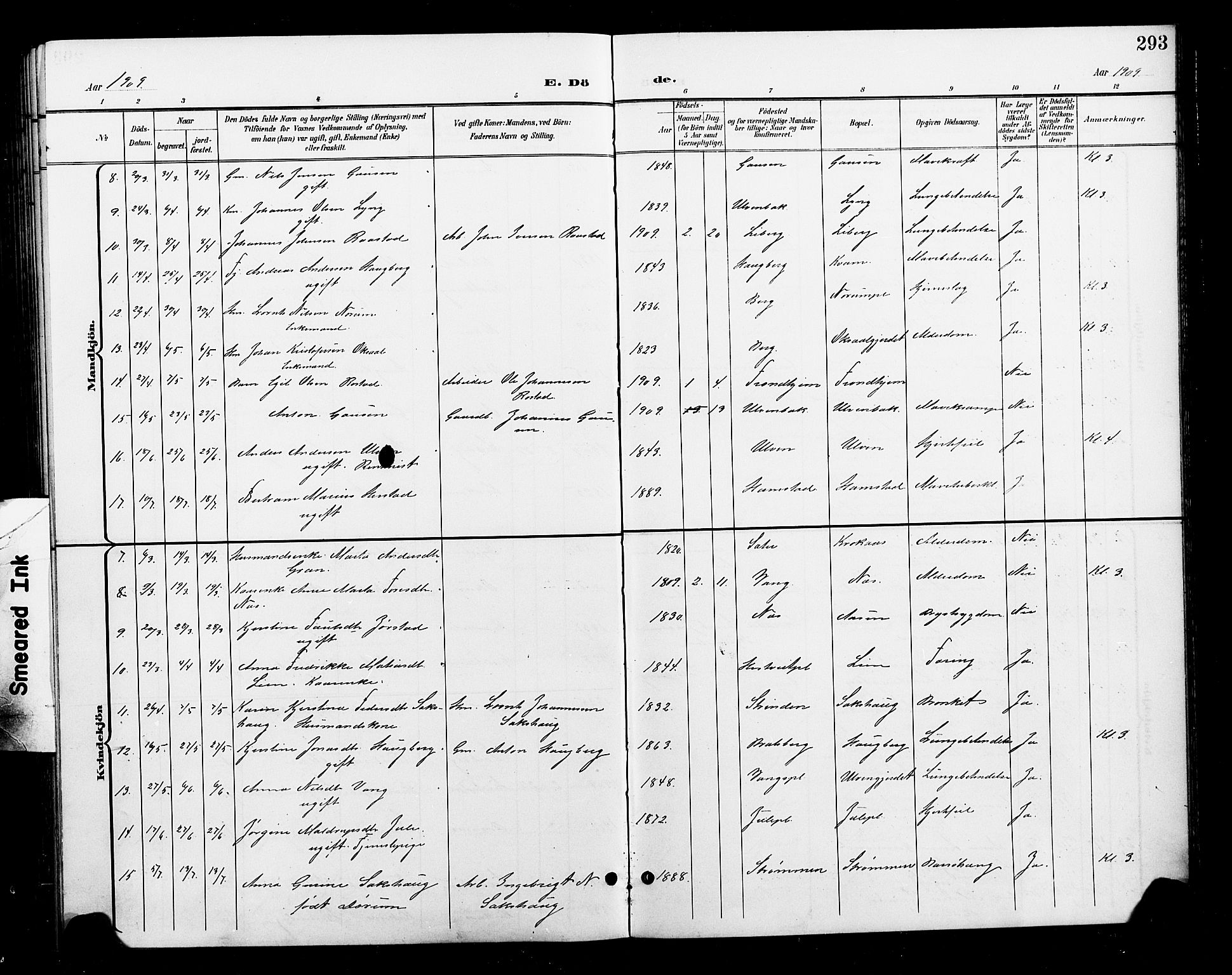 Ministerialprotokoller, klokkerbøker og fødselsregistre - Nord-Trøndelag, SAT/A-1458/730/L0302: Parish register (copy) no. 730C05, 1898-1924, p. 293