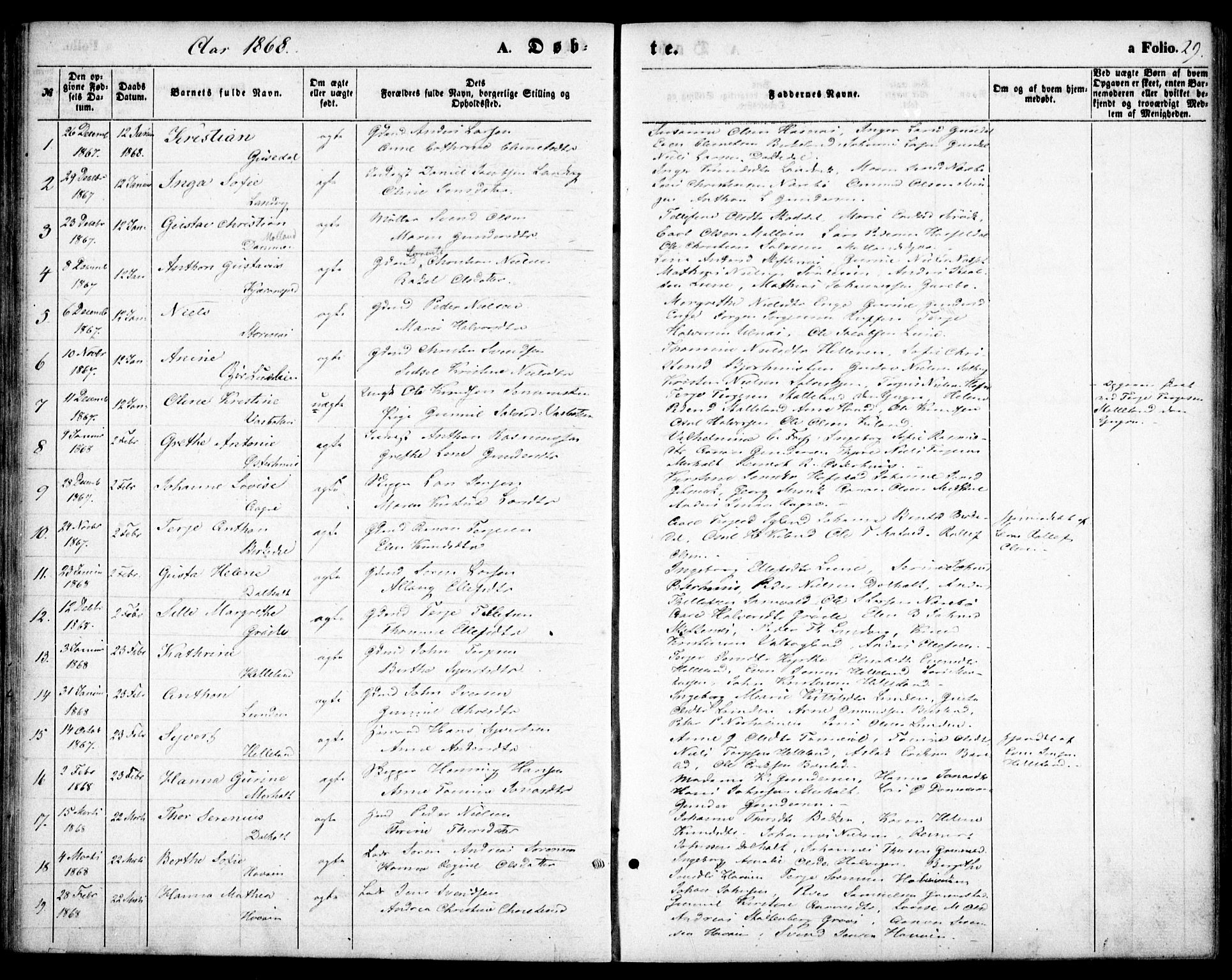 Hommedal sokneprestkontor, AV/SAK-1111-0023/F/Fa/Fab/L0005: Parish register (official) no. A 5, 1861-1877, p. 29