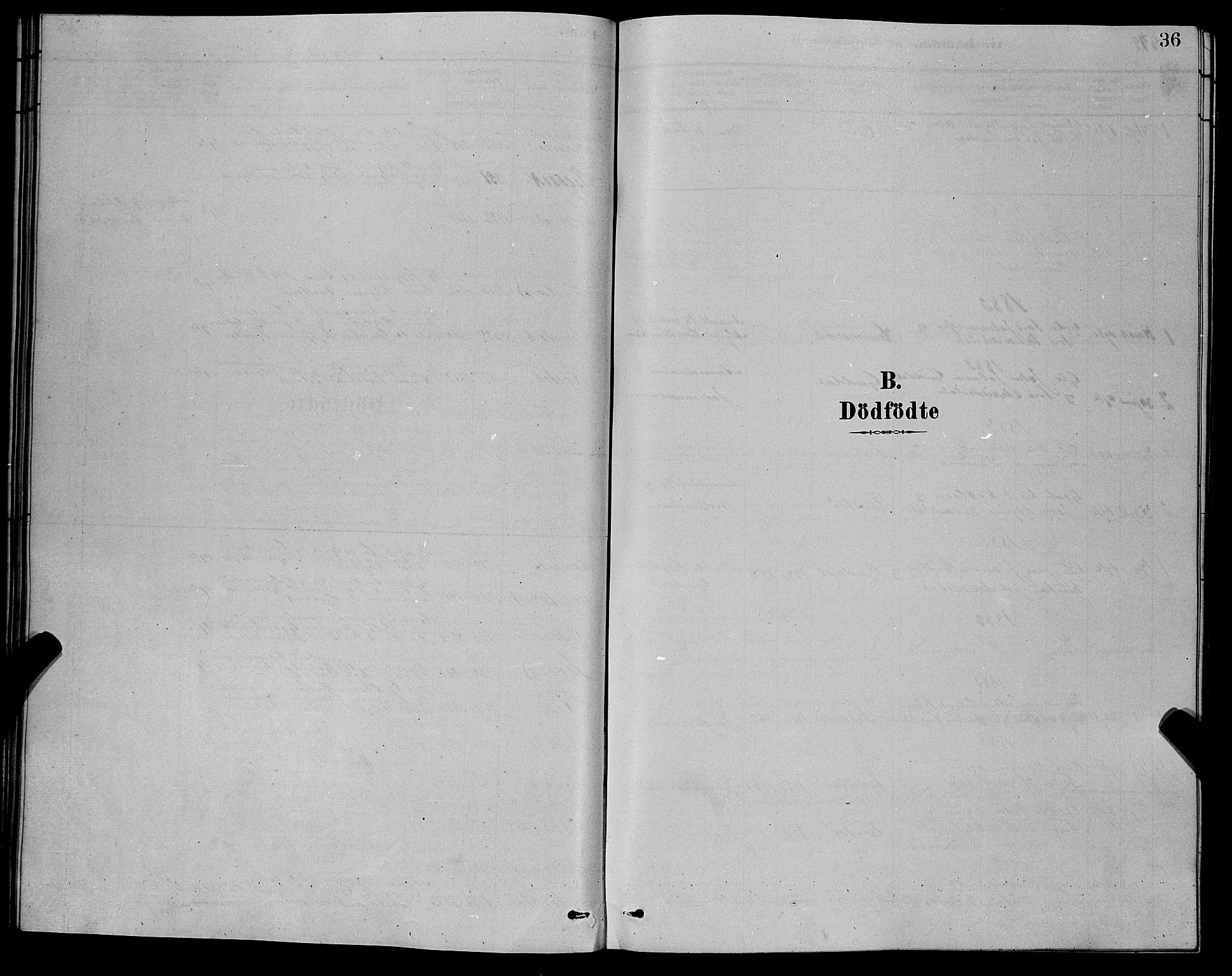 Sirdal sokneprestkontor, SAK/1111-0036/F/Fb/Fbb/L0003: Parish register (copy) no. B 3, 1878-1894, p. 36