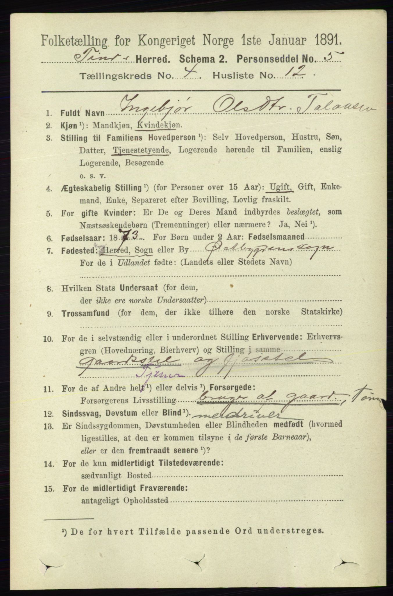 RA, 1891 census for 0826 Tinn, 1891, p. 791