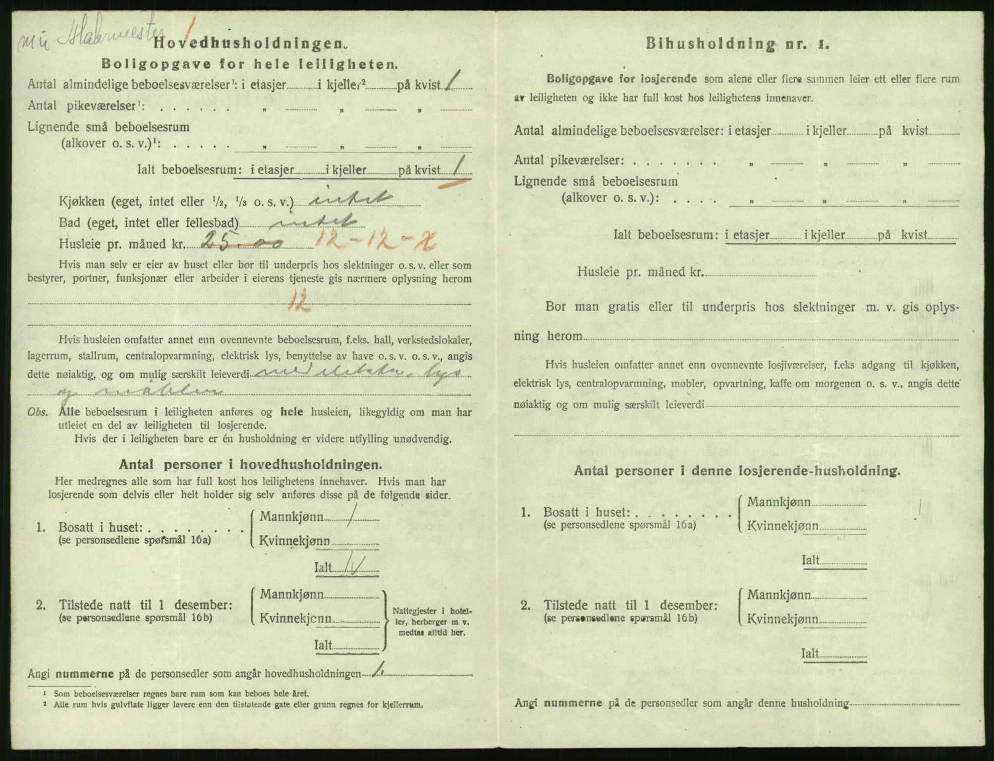 SAT, 1920 census for Narvik, 1920, p. 3981