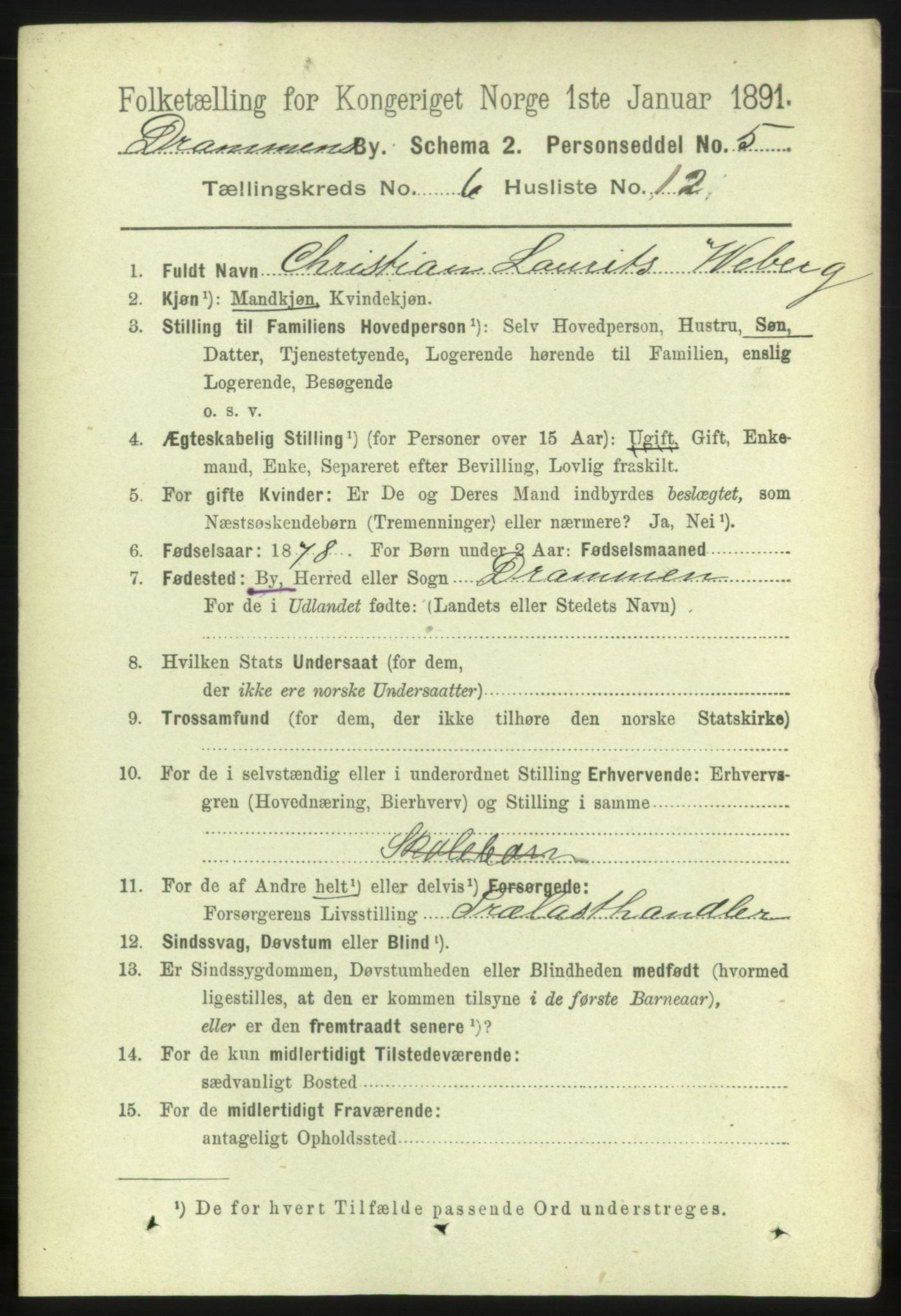 RA, 1891 census for 0602 Drammen, 1891, p. 6220