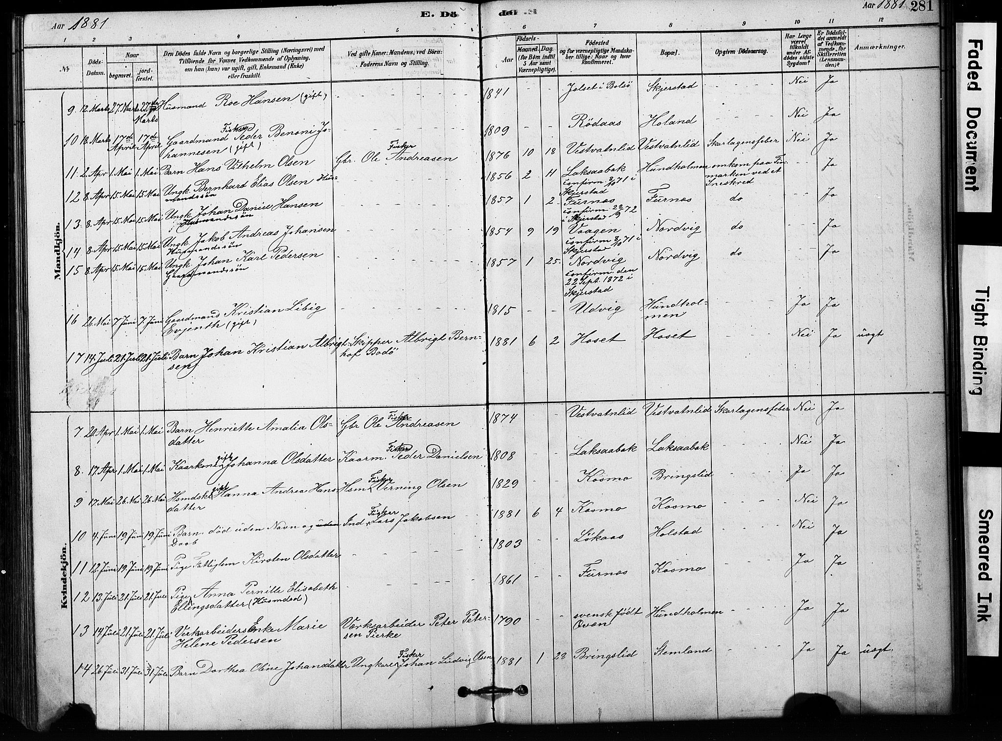 Ministerialprotokoller, klokkerbøker og fødselsregistre - Nordland, AV/SAT-A-1459/852/L0754: Parish register (copy) no. 852C05, 1878-1894, p. 281