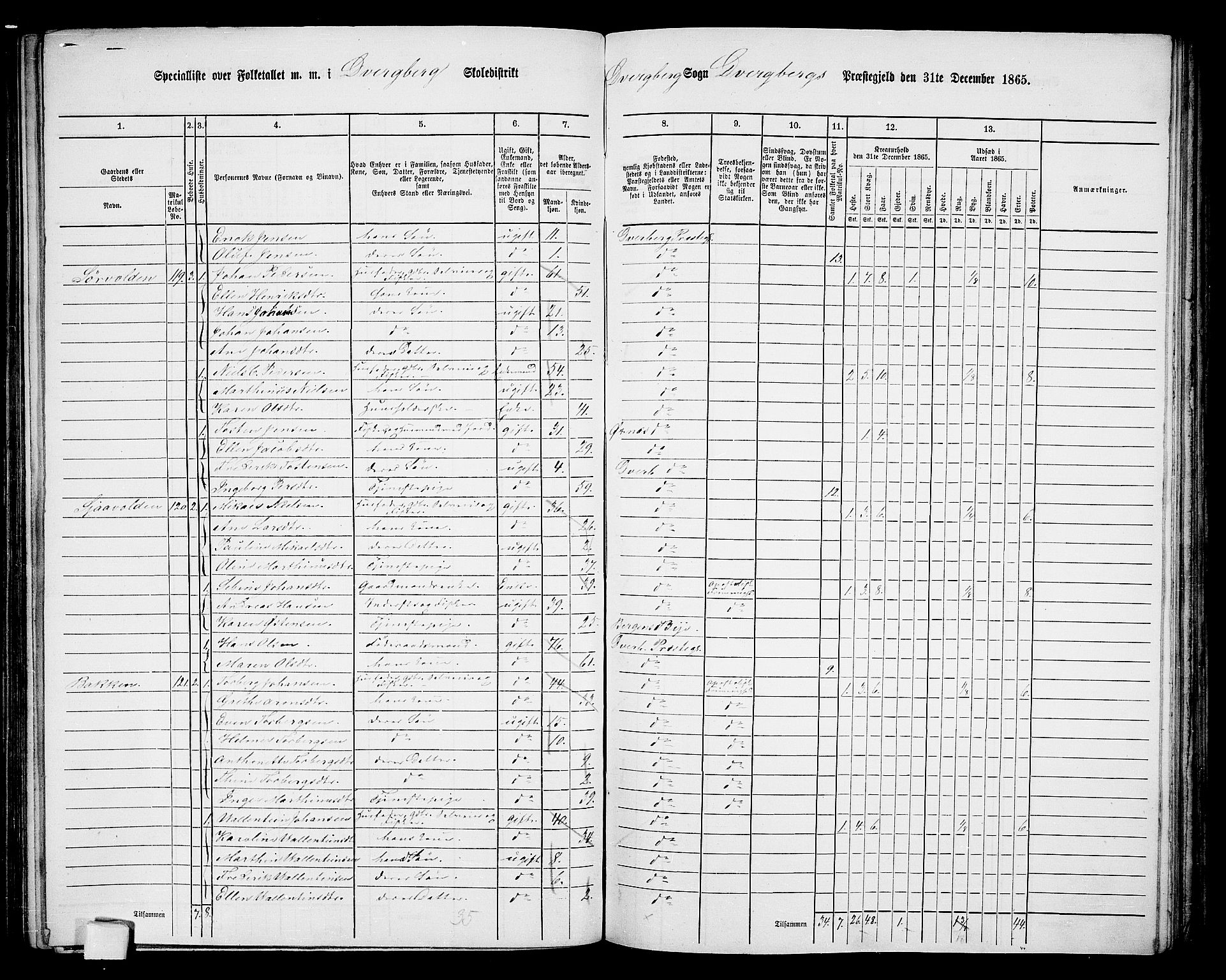 RA, 1865 census for Dverberg, 1865, p. 11