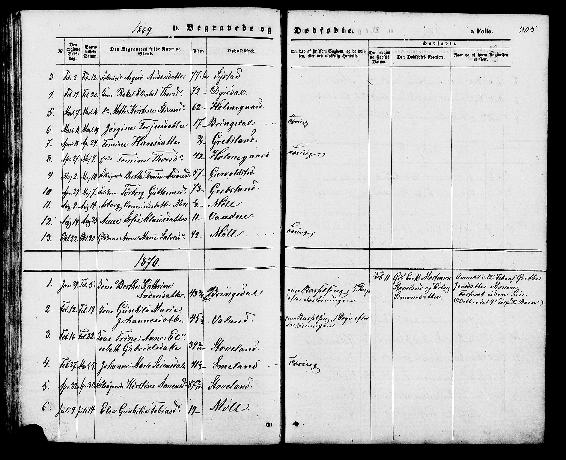 Holum sokneprestkontor, SAK/1111-0022/F/Fb/Fba/L0004: Parish register (copy) no. B 4, 1867-1890, p. 305