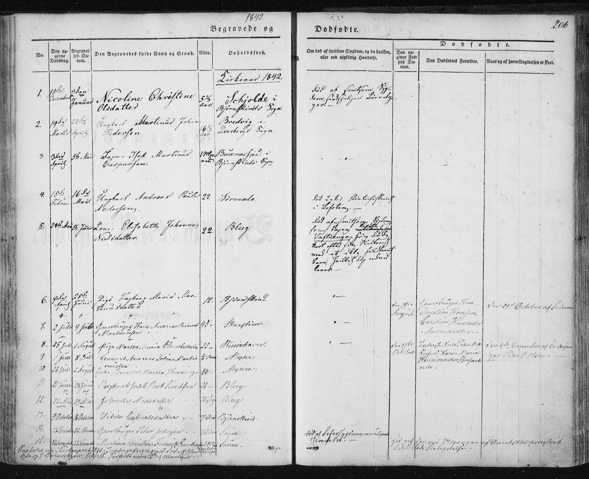 Ministerialprotokoller, klokkerbøker og fødselsregistre - Nordland, AV/SAT-A-1459/897/L1396: Parish register (official) no. 897A04, 1842-1866, p. 206