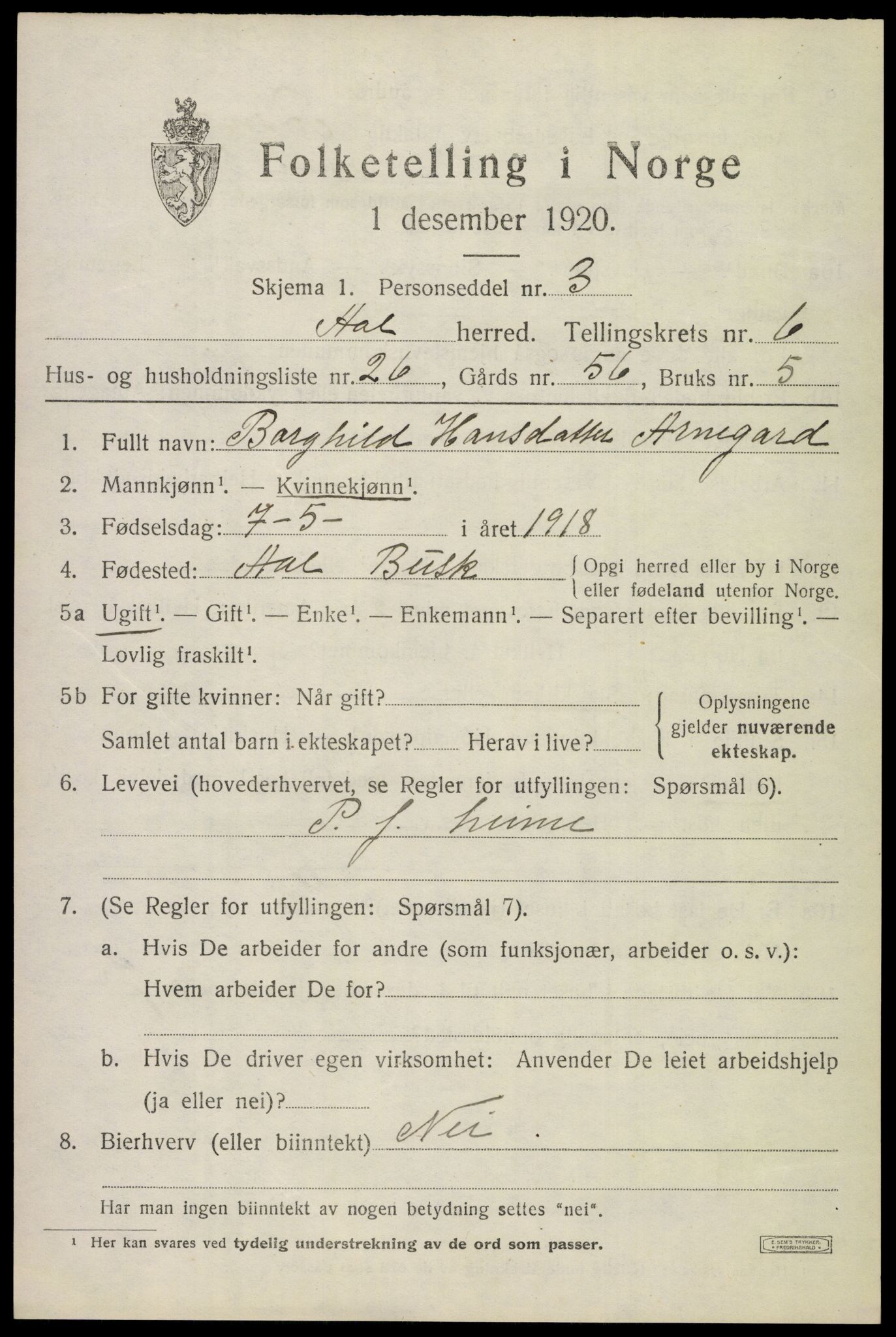 SAKO, 1920 census for Ål, 1920, p. 4624