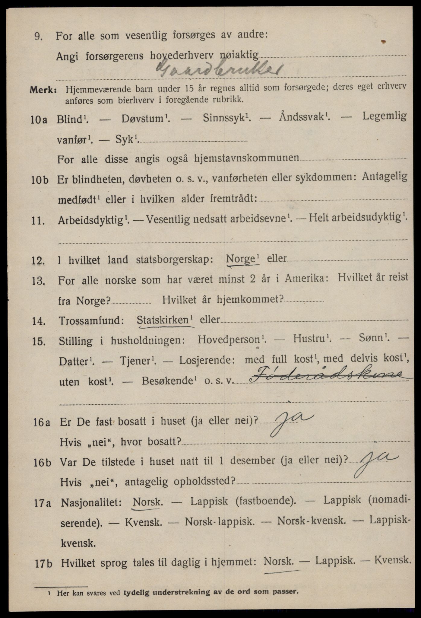 SAT, 1920 census for Selbu, 1920, p. 6503