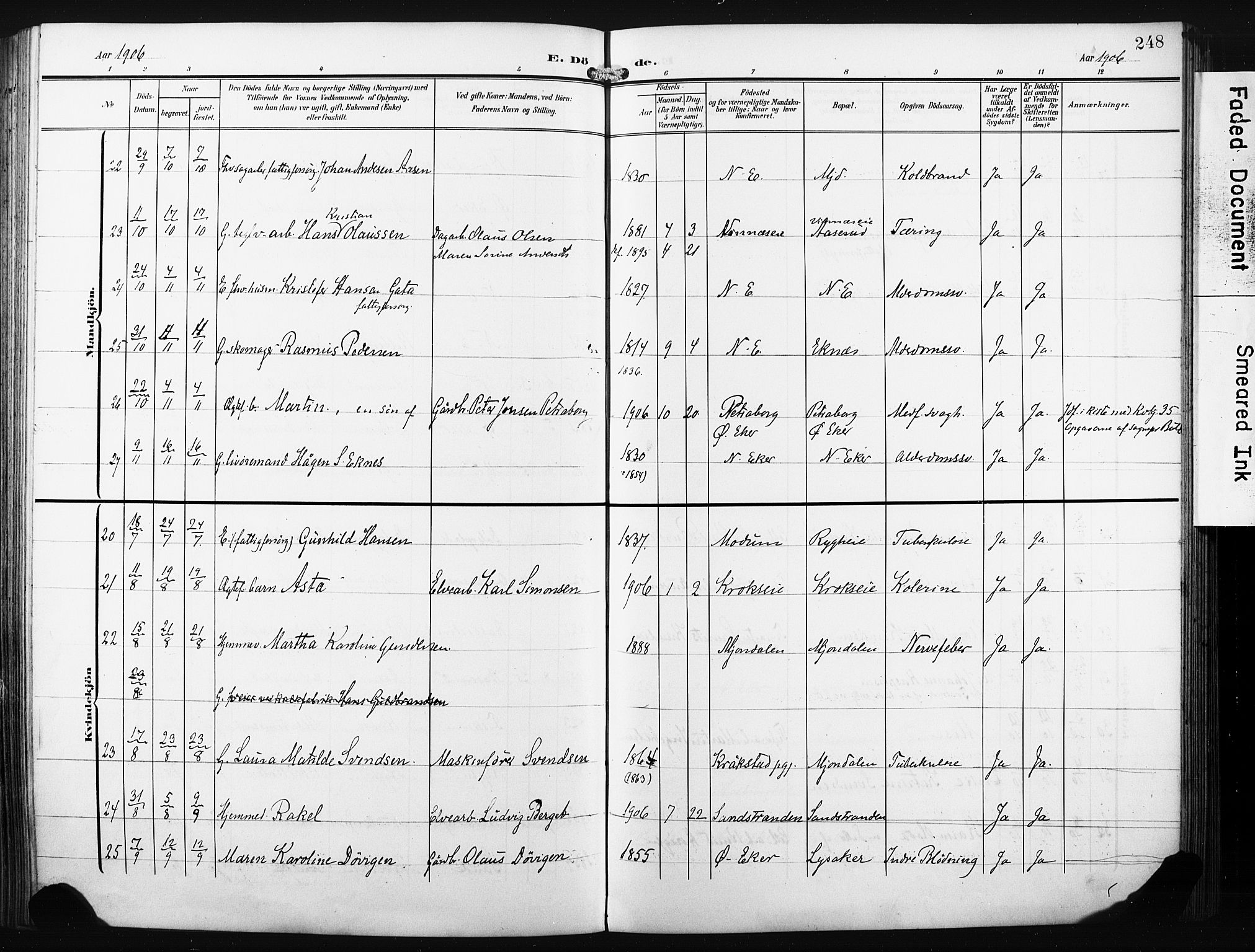 Nedre Eiker kirkebøker, AV/SAKO-A-612/F/Fa/L0006: Parish register (official) no. 6, 1906-1912, p. 248