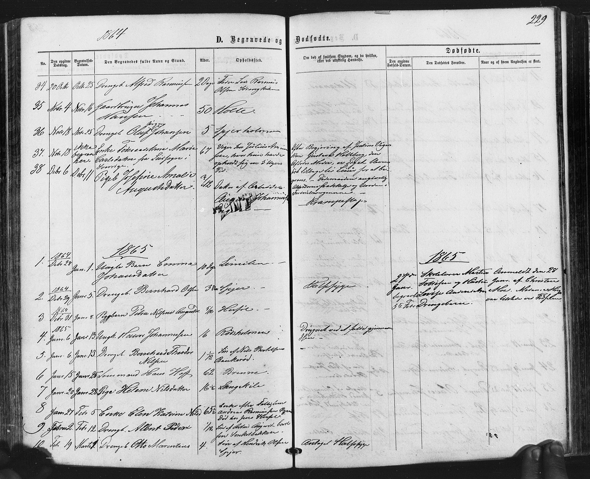 Hvaler prestekontor Kirkebøker, SAO/A-2001/F/Fa/L0007: Parish register (official) no. I 7, 1864-1878, p. 229