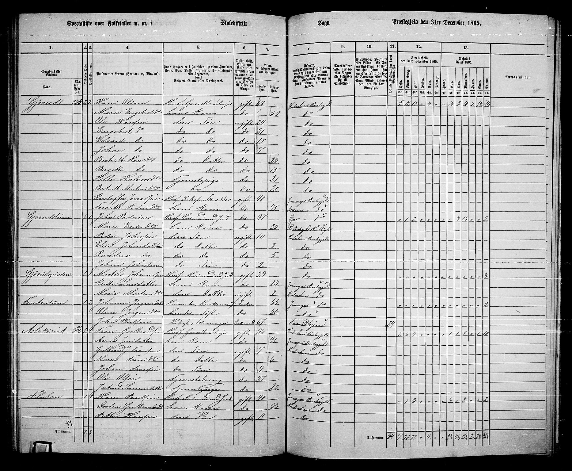 RA, 1865 census for Norderhov/Norderhov, Haug og Lunder, 1865, p. 256