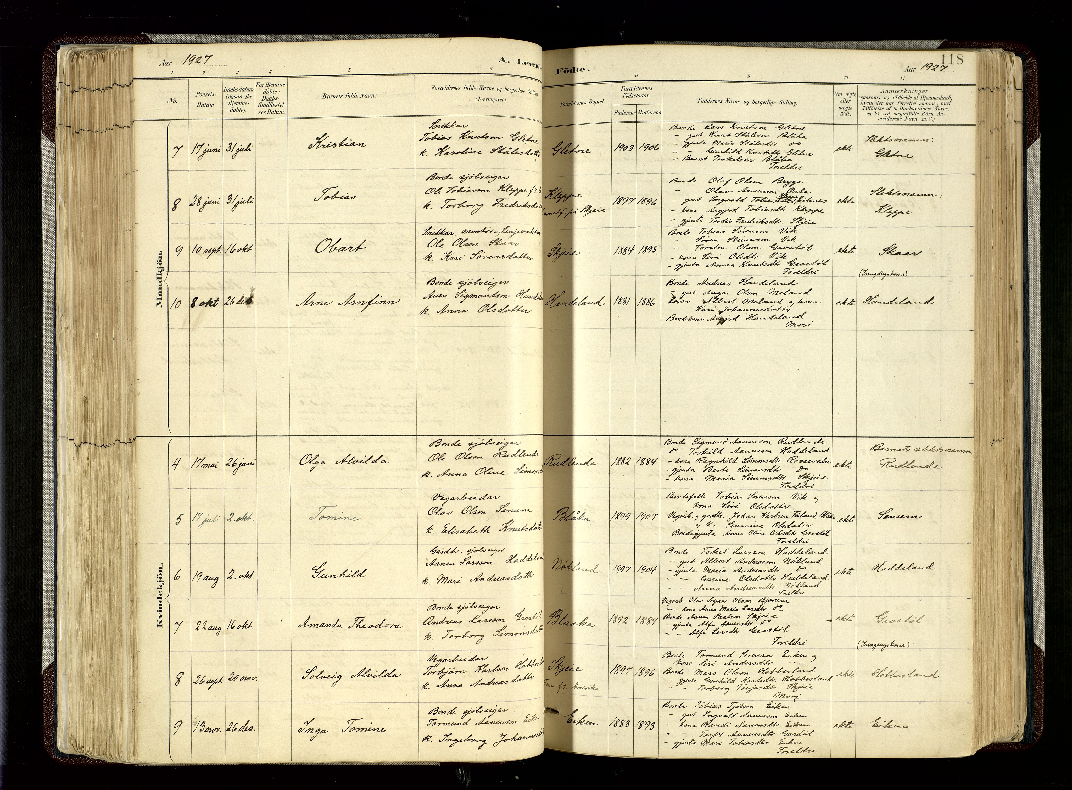 Hægebostad sokneprestkontor, SAK/1111-0024/F/Fa/Fab/L0004: Parish register (official) no. A 4, 1887-1929, p. 118
