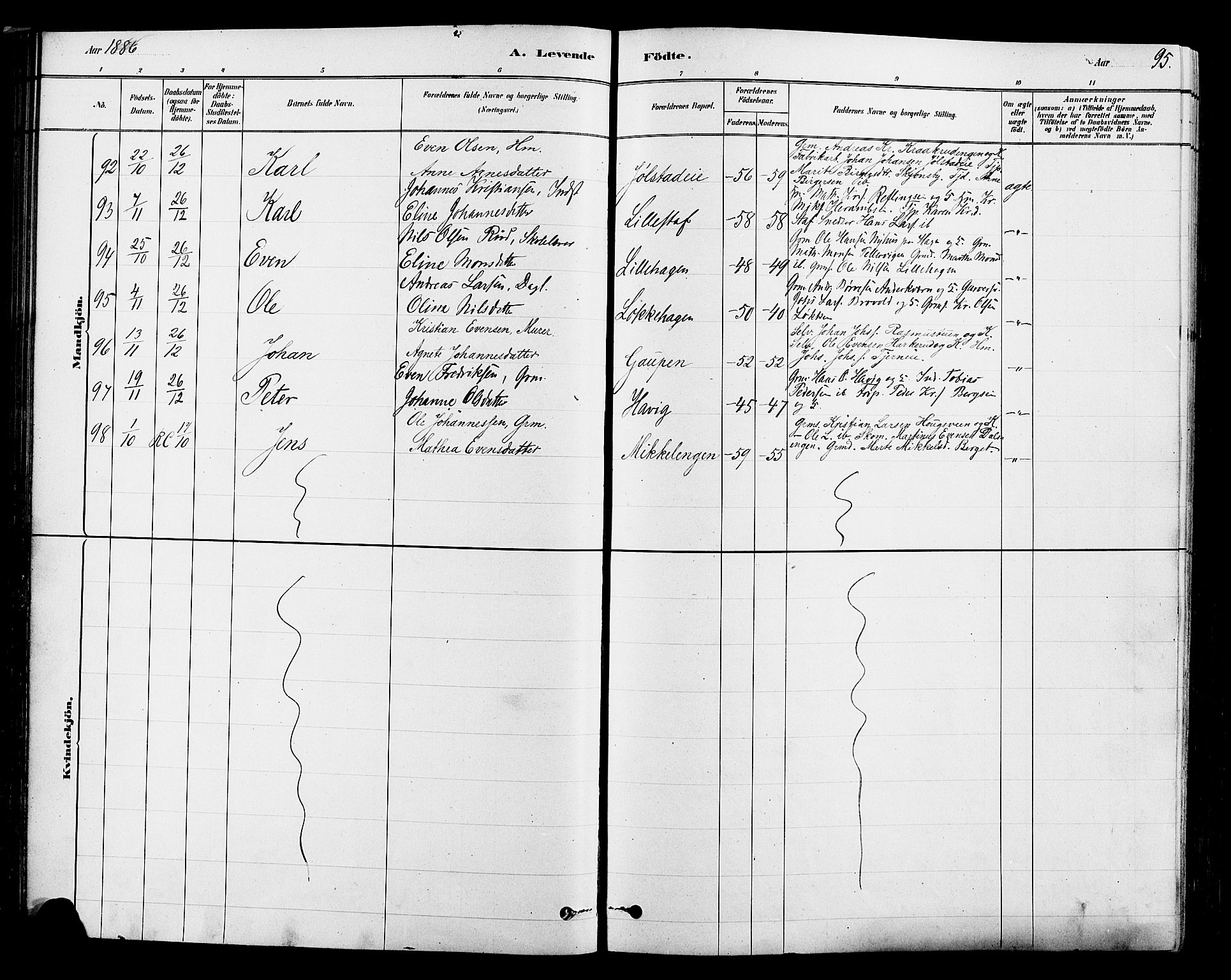 Ringsaker prestekontor, AV/SAH-PREST-014/L/La/L0009: Parish register (copy) no. 9, 1879-1890, p. 95