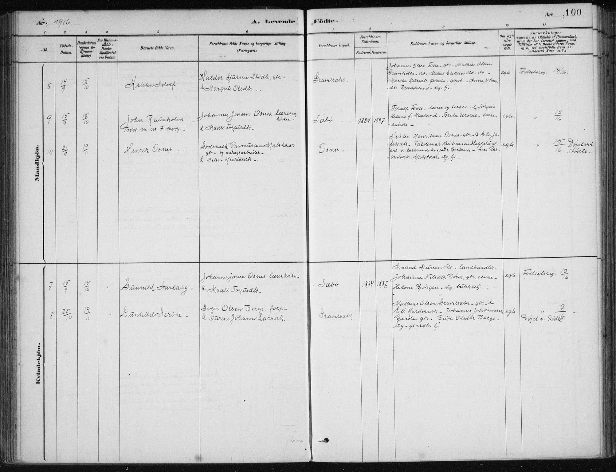 Etne sokneprestembete, AV/SAB-A-75001/H/Haa: Parish register (official) no. C  1, 1879-1919, p. 100