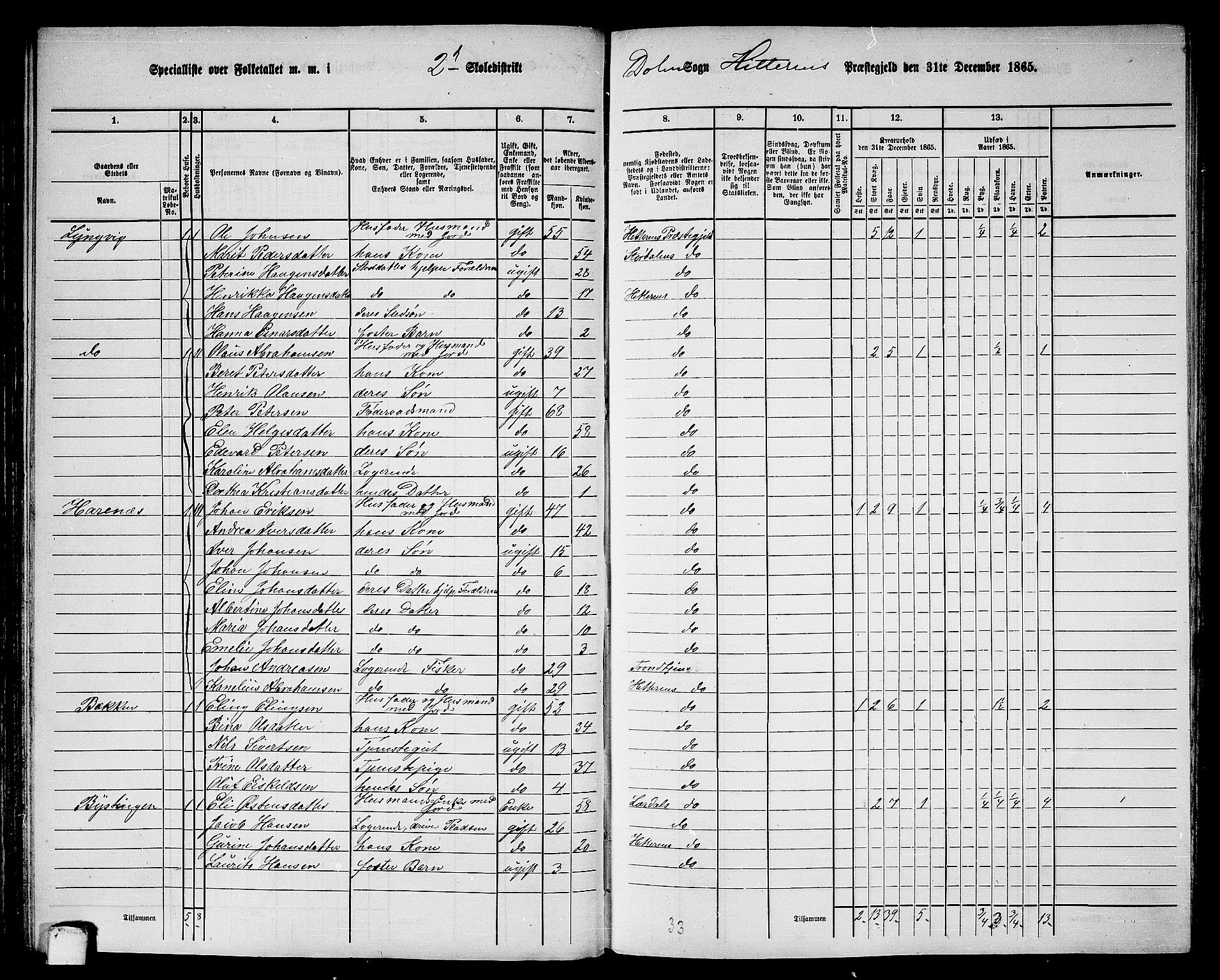 RA, 1865 census for Hitra, 1865, p. 100