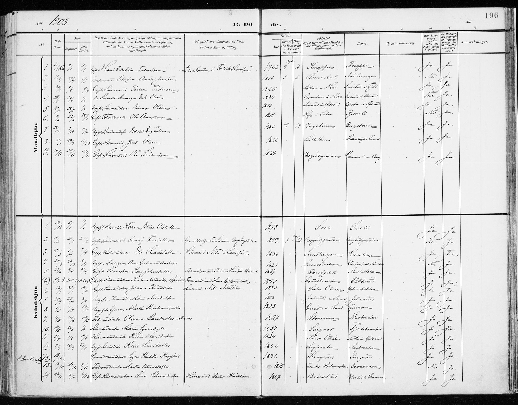 Nord-Odal prestekontor, SAH/PREST-032/H/Ha/Haa/L0009: Parish register (official) no. 9, 1902-1926, p. 196