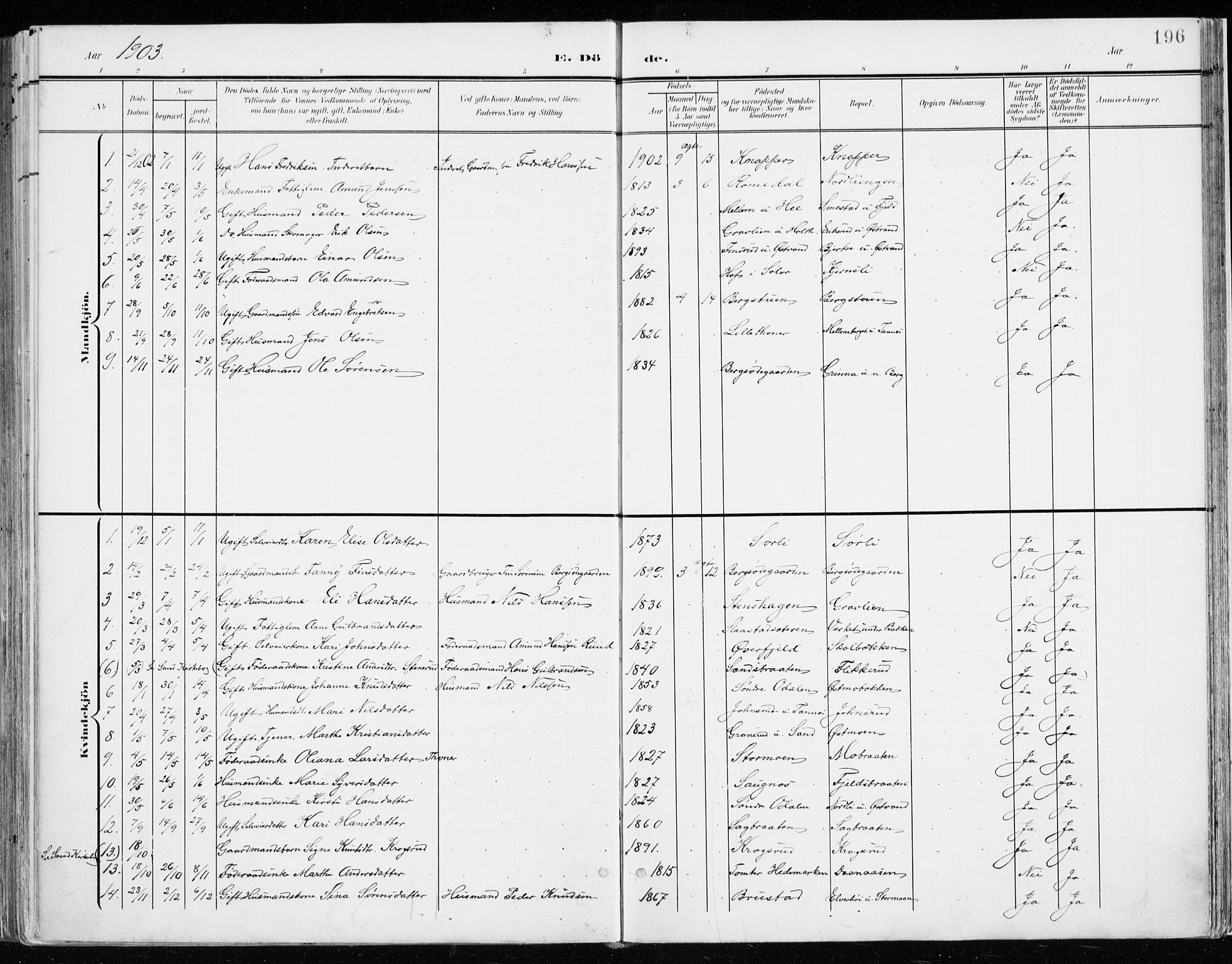 Nord-Odal prestekontor, AV/SAH-PREST-032/H/Ha/Haa/L0009: Parish register (official) no. 9, 1902-1926, p. 196