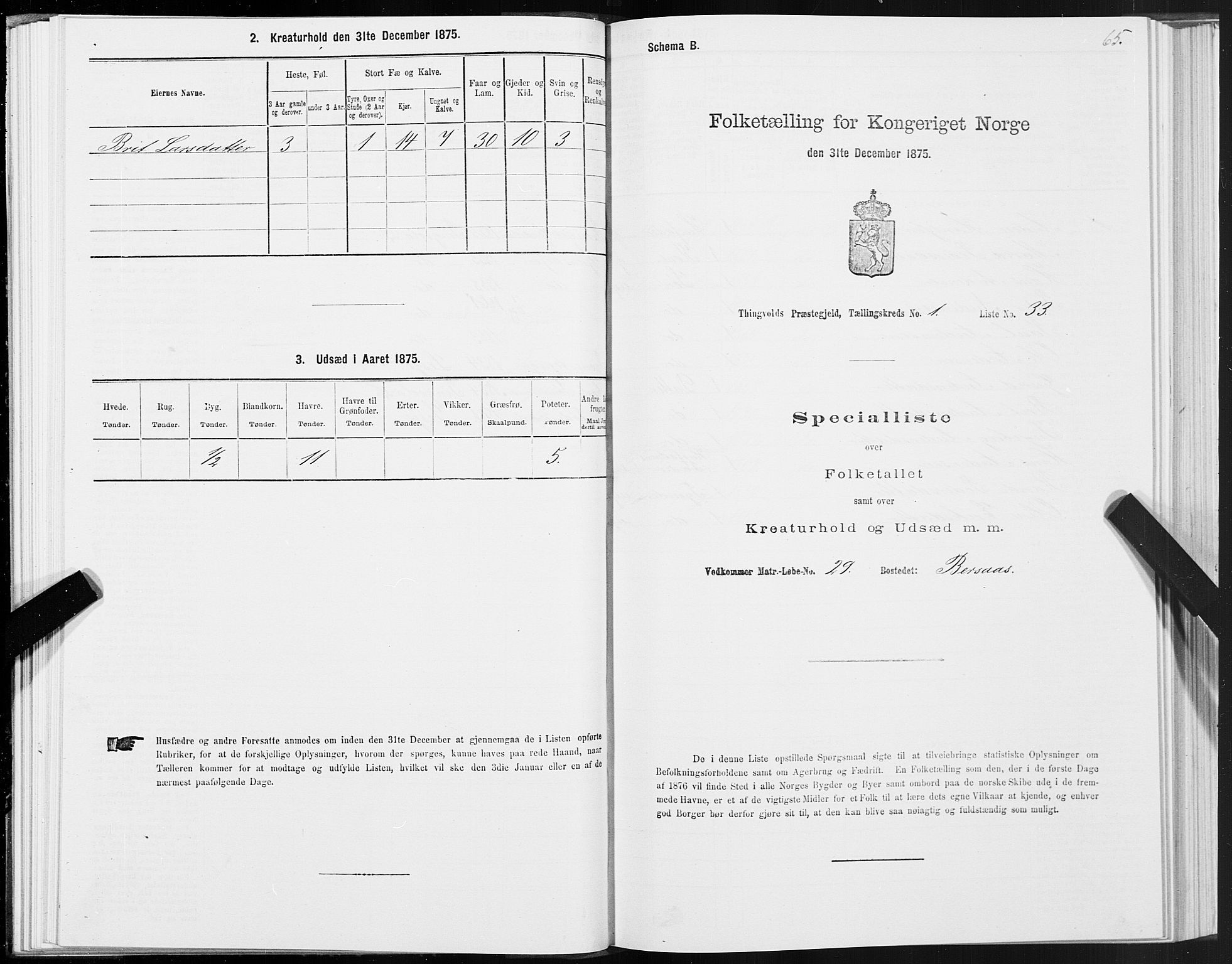 SAT, 1875 census for 1560P Tingvoll, 1875, p. 1065