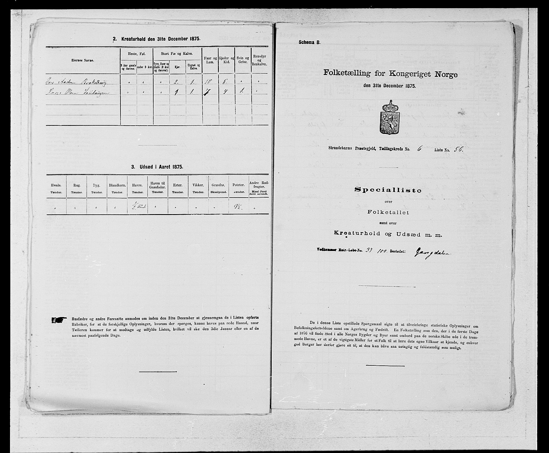 SAB, 1875 census for 1226P Strandebarm, 1875, p. 917