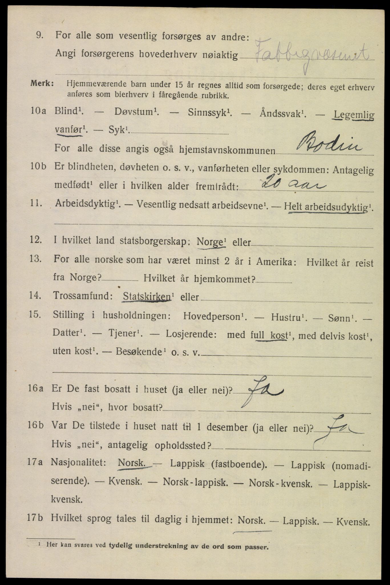 SAT, 1920 census for Bodø, 1920, p. 3684