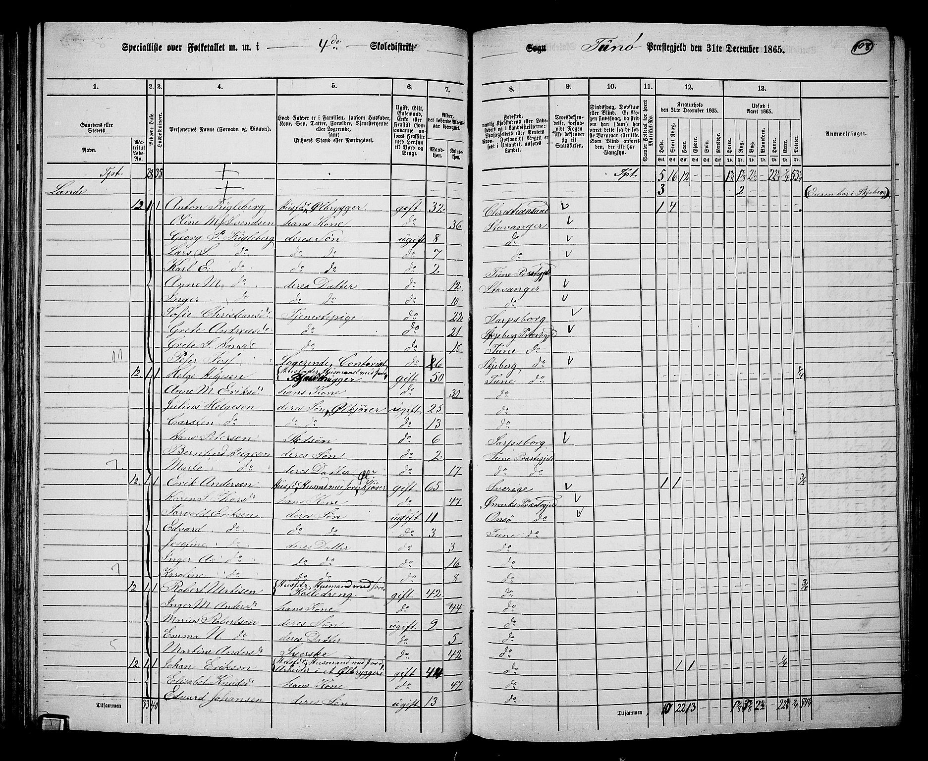 RA, 1865 census for Tune, 1865, p. 101