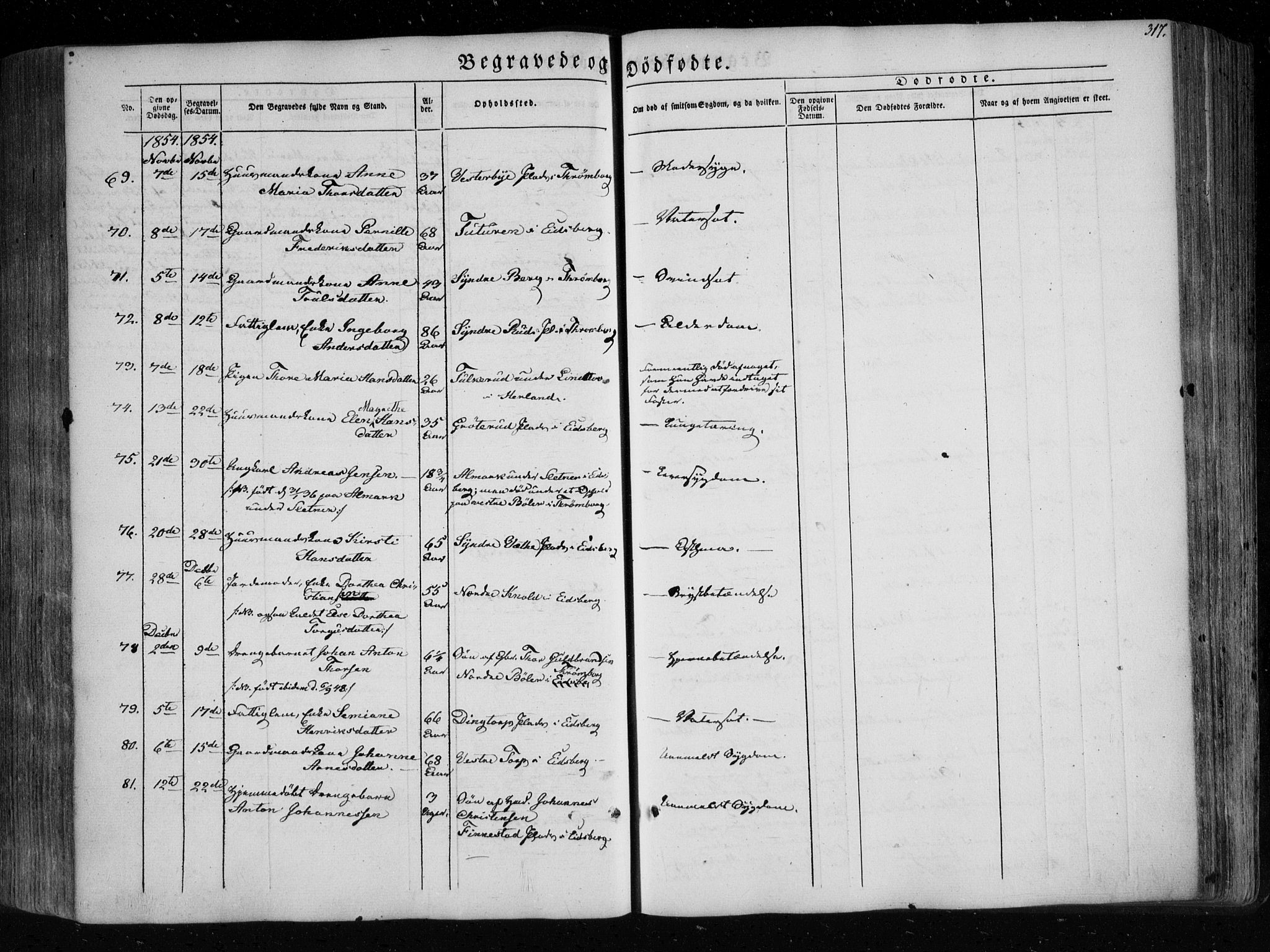 Eidsberg prestekontor Kirkebøker, SAO/A-10905/F/Fa/L0009: Parish register (official) no. I 9, 1849-1856, p. 317