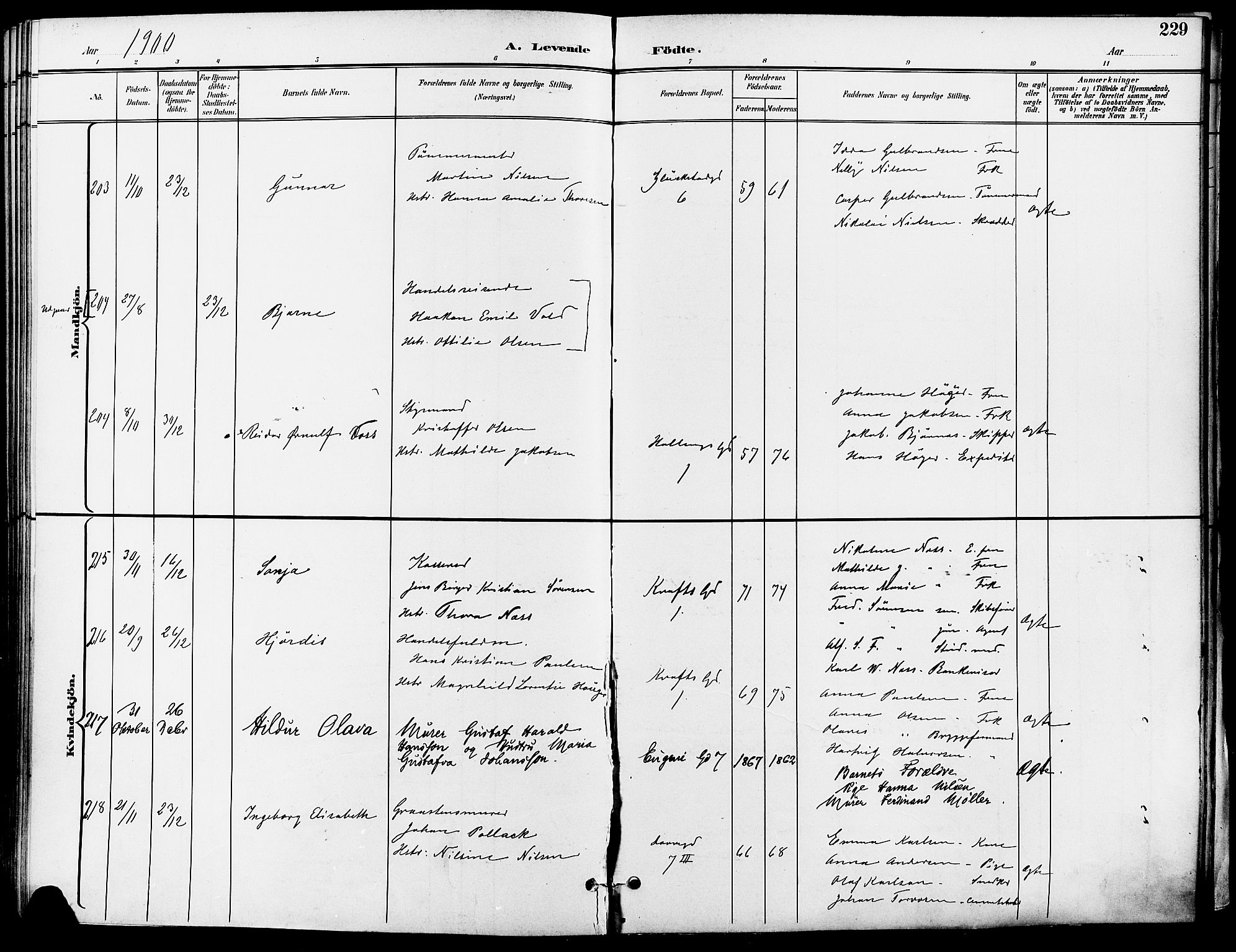 Gamle Aker prestekontor Kirkebøker, SAO/A-10617a/F/L0011: Parish register (official) no. 11, 1896-1901, p. 229