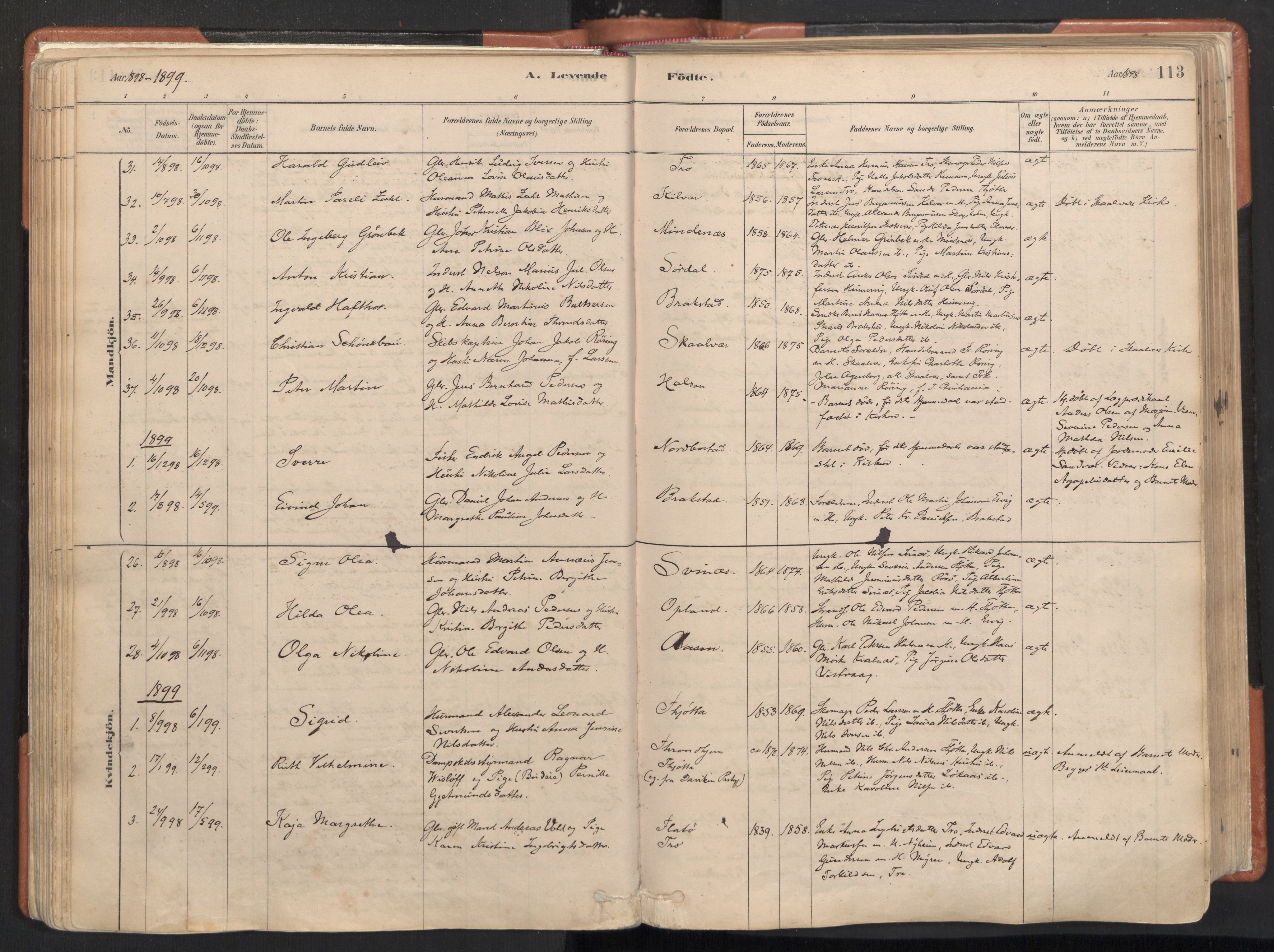 Ministerialprotokoller, klokkerbøker og fødselsregistre - Nordland, SAT/A-1459/817/L0264: Parish register (official) no. 817A04, 1878-1907, p. 113