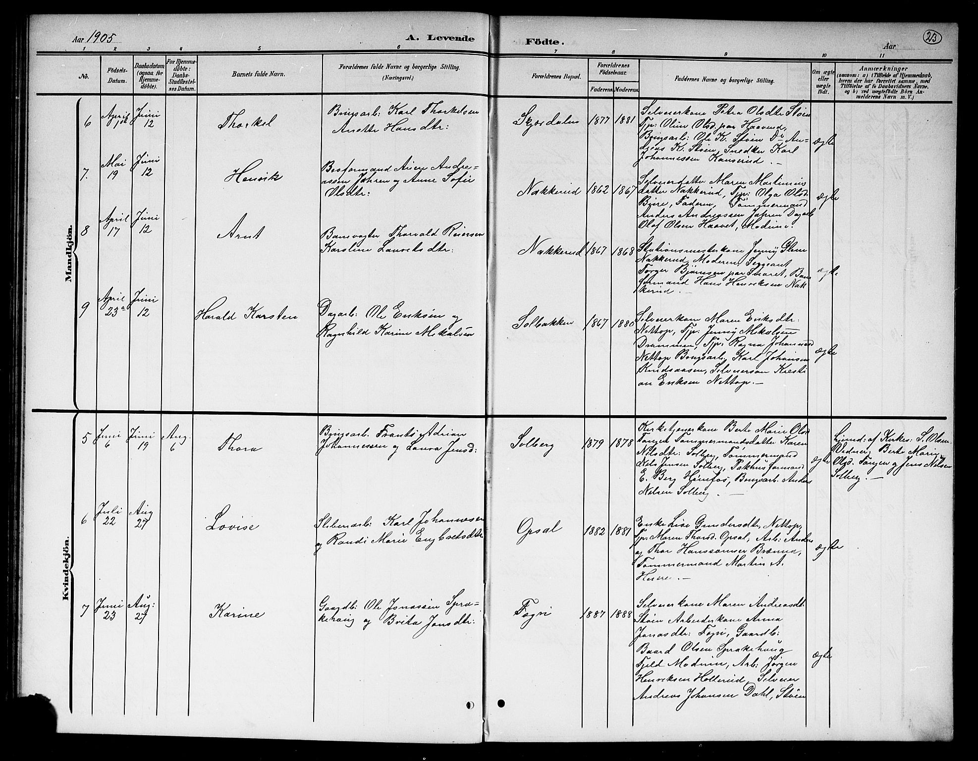 Hole kirkebøker, AV/SAKO-A-228/G/Gb/L0004: Parish register (copy) no. II 4, 1901-1916, p. 23