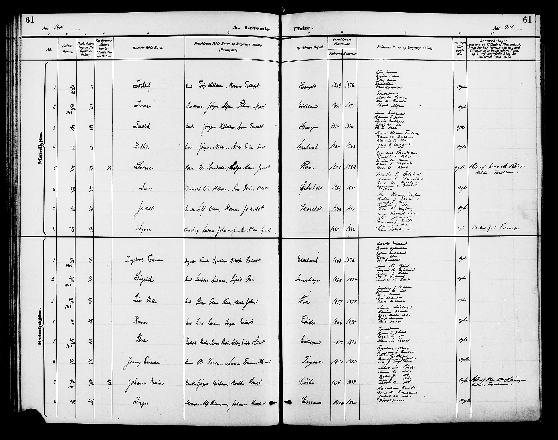 Gjerstad sokneprestkontor, SAK/1111-0014/F/Fb/Fba/L0007: Parish register (copy) no. B 7, 1891-1908, p. 61
