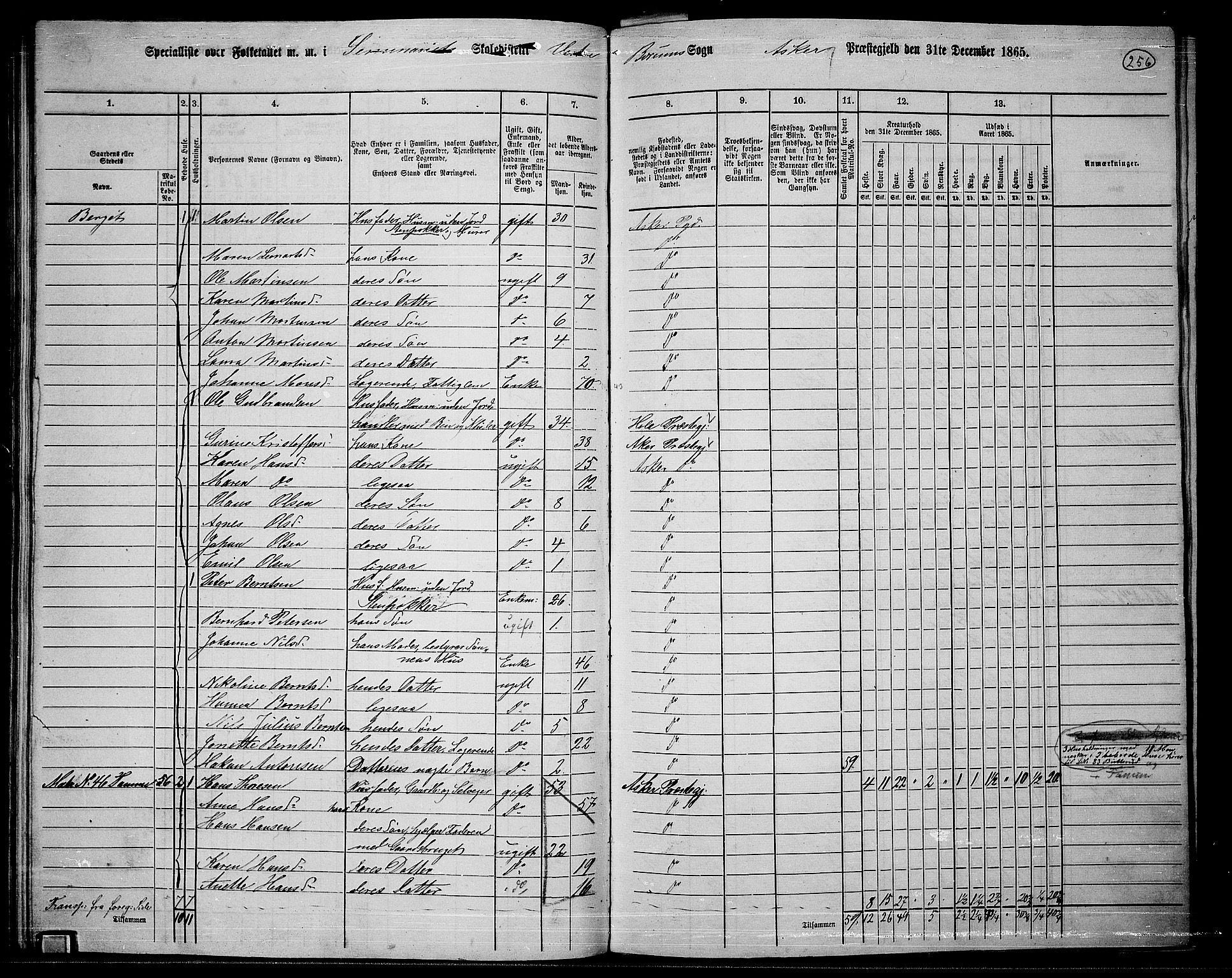 RA, 1865 census for Asker, 1865, p. 244