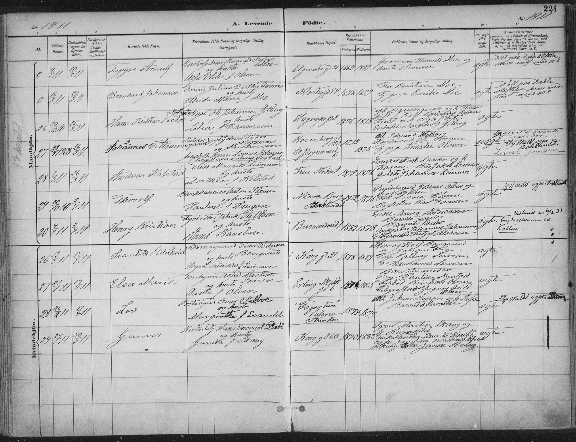 Ministerialprotokoller, klokkerbøker og fødselsregistre - Sør-Trøndelag, AV/SAT-A-1456/601/L0062: Parish register (official) no. 601A30, 1891-1911, p. 224