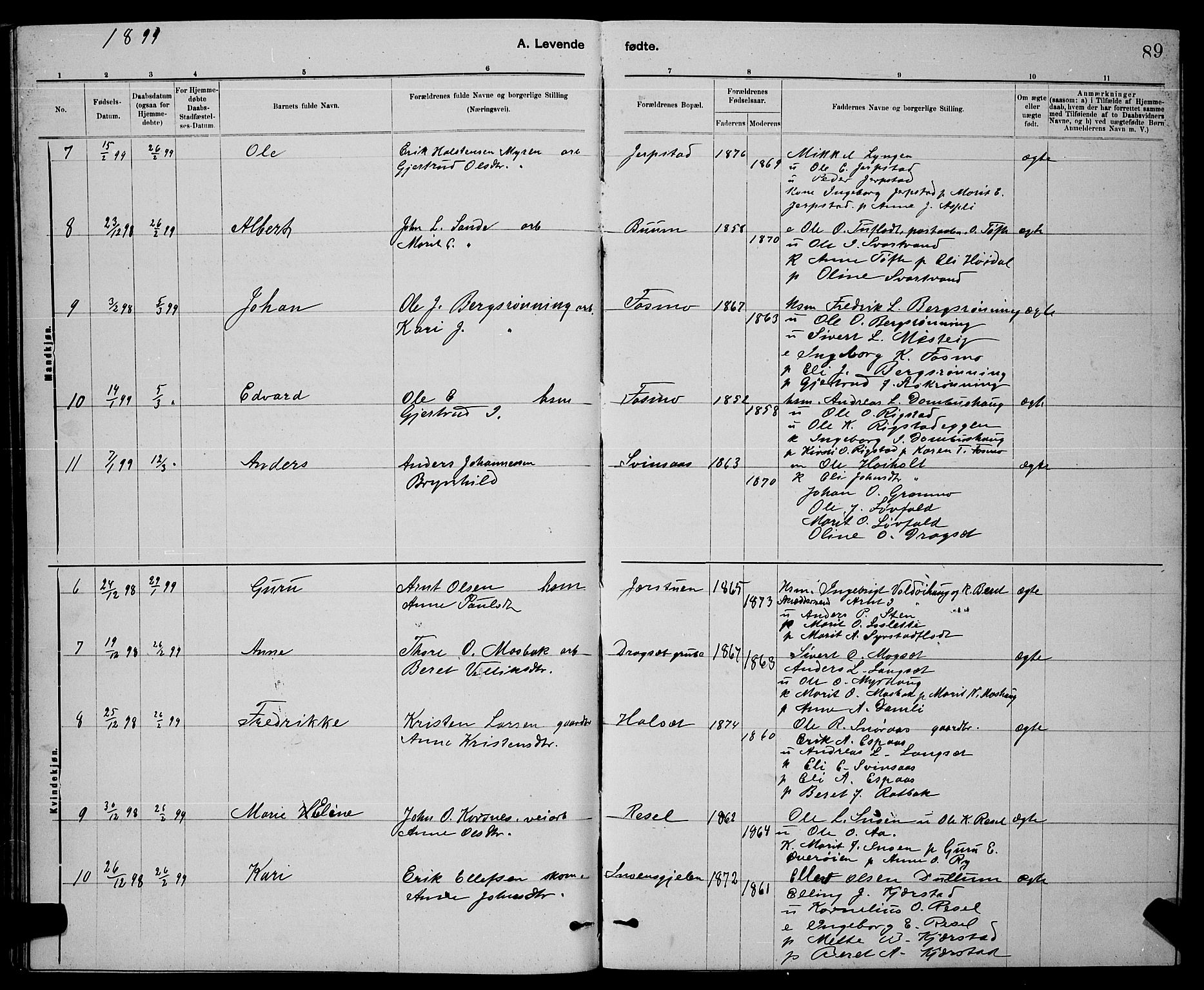 Ministerialprotokoller, klokkerbøker og fødselsregistre - Sør-Trøndelag, AV/SAT-A-1456/672/L0863: Parish register (copy) no. 672C02, 1888-1901, p. 89