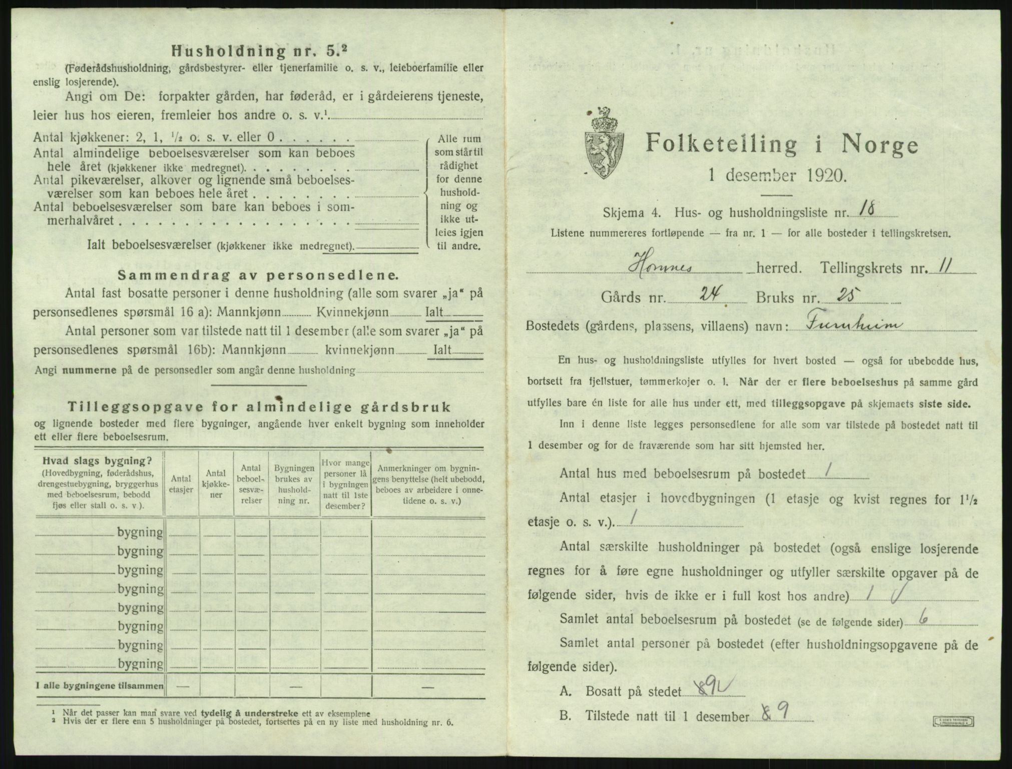 SAK, 1920 census for Hornnes, 1920, p. 467