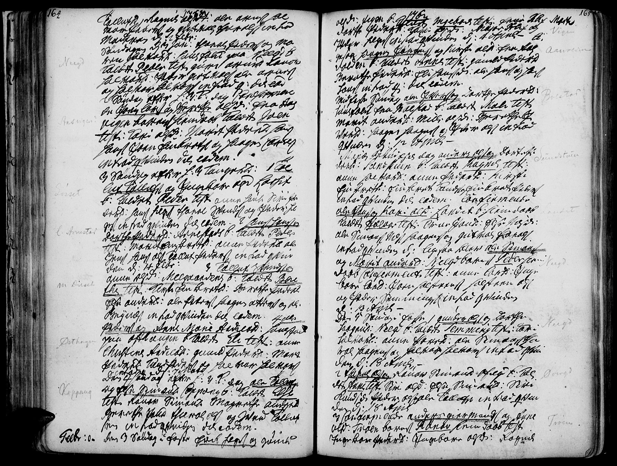 Åmot prestekontor, Hedmark, AV/SAH-PREST-056/H/Ha/Haa/L0002: Parish register (official) no. 2, 1734-1779, p. 164-165