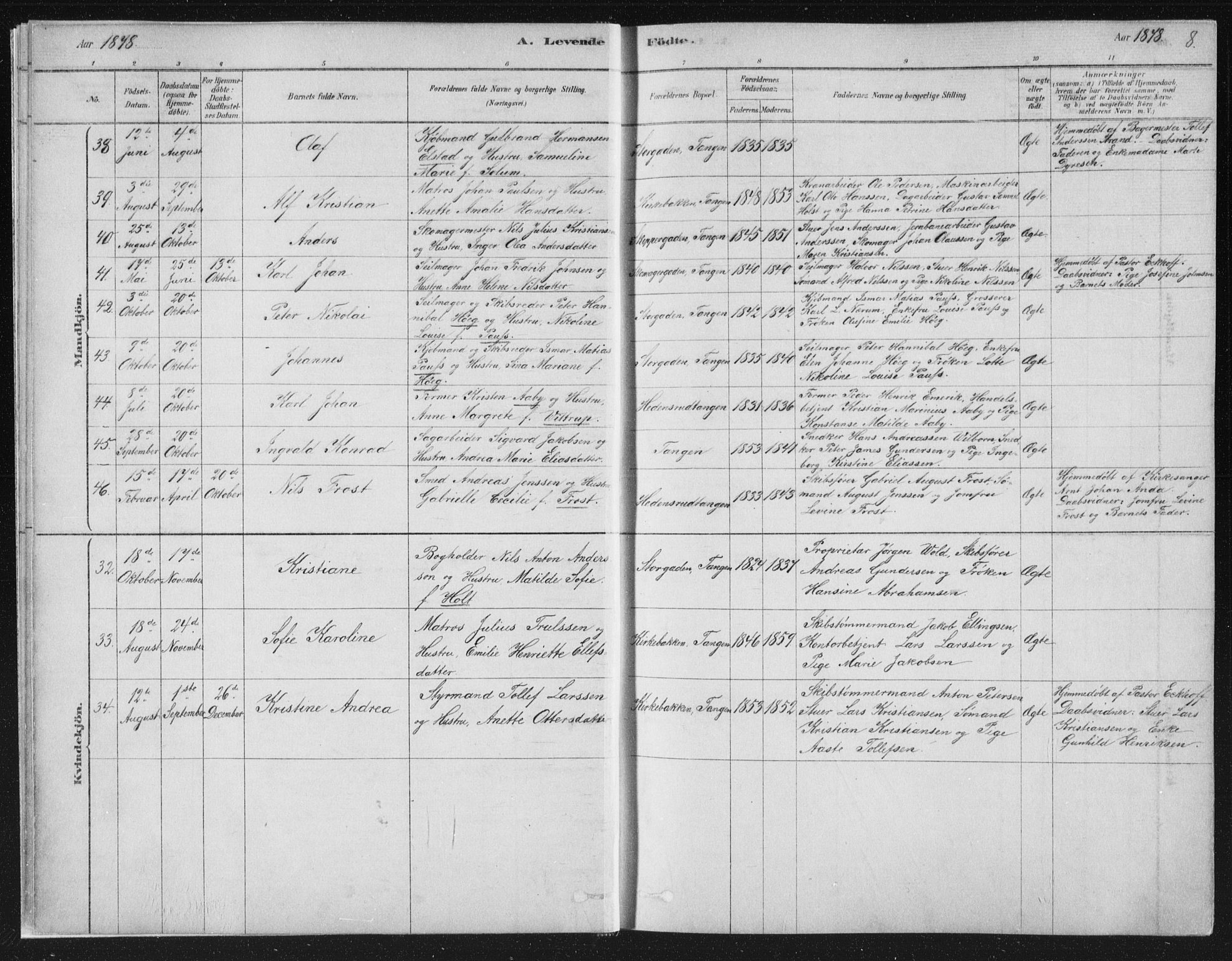 Strømsø kirkebøker, AV/SAKO-A-246/F/Fb/L0005: Parish register (official) no. II 5, 1877-1902, p. 8