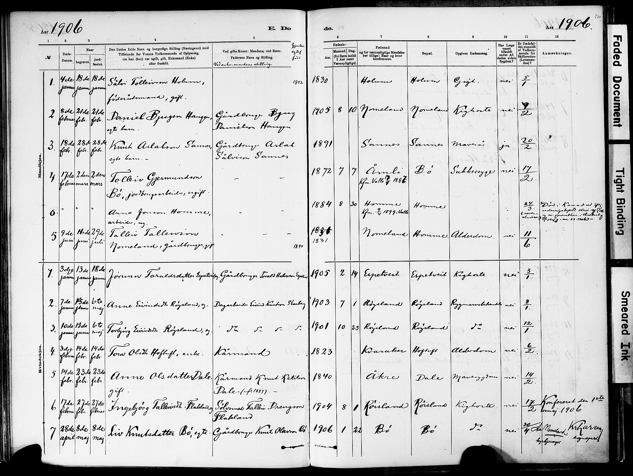 Valle sokneprestkontor, AV/SAK-1111-0044/F/Fa/Fac/L0009: Parish register (official) no. A 9, 1882-1913, p. 230