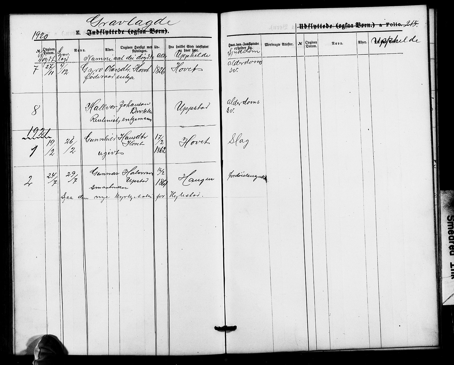 Valle sokneprestkontor, SAK/1111-0044/F/Fb/Fbb/L0002: Parish register (copy) no. B 2, 1875-1921, p. 215